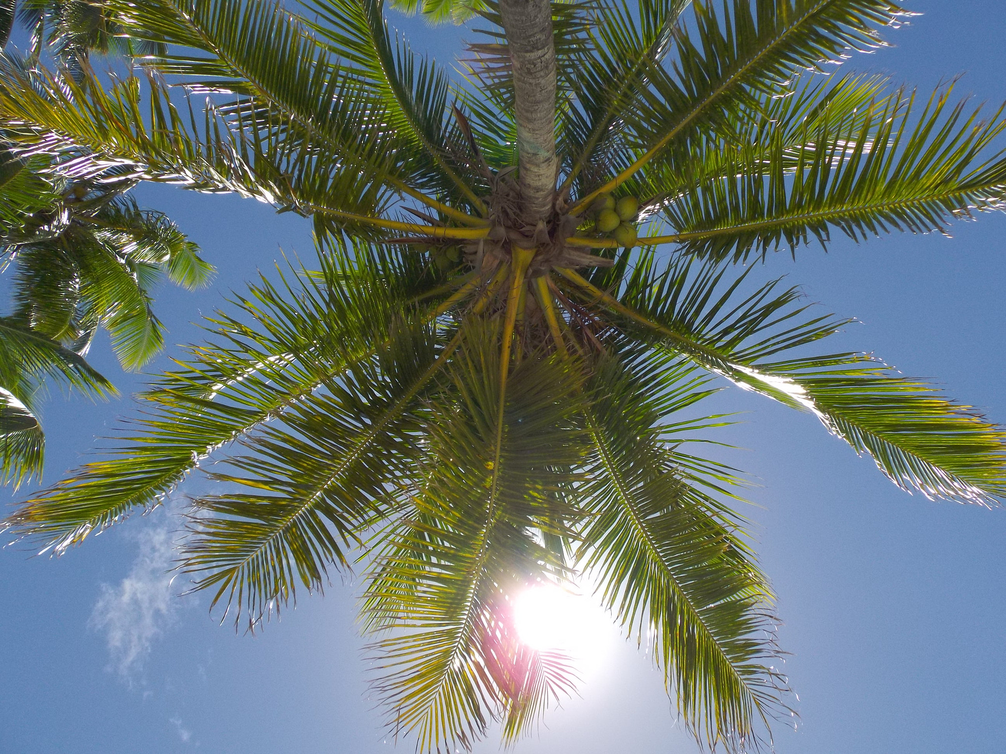 Pentax Optio VS20 sample photo. Fiji islands photography