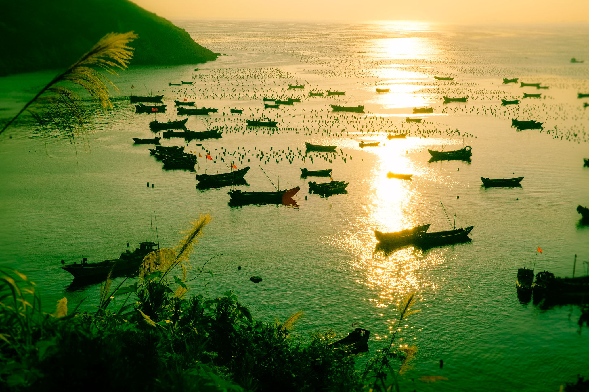 Fujifilm X-E1 + ZEISS Touit 32mm F1.8 sample photo. Idling boats photography