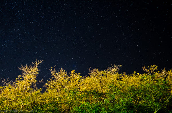 The Rise of Stars by Antonio Rosario on 500px.com