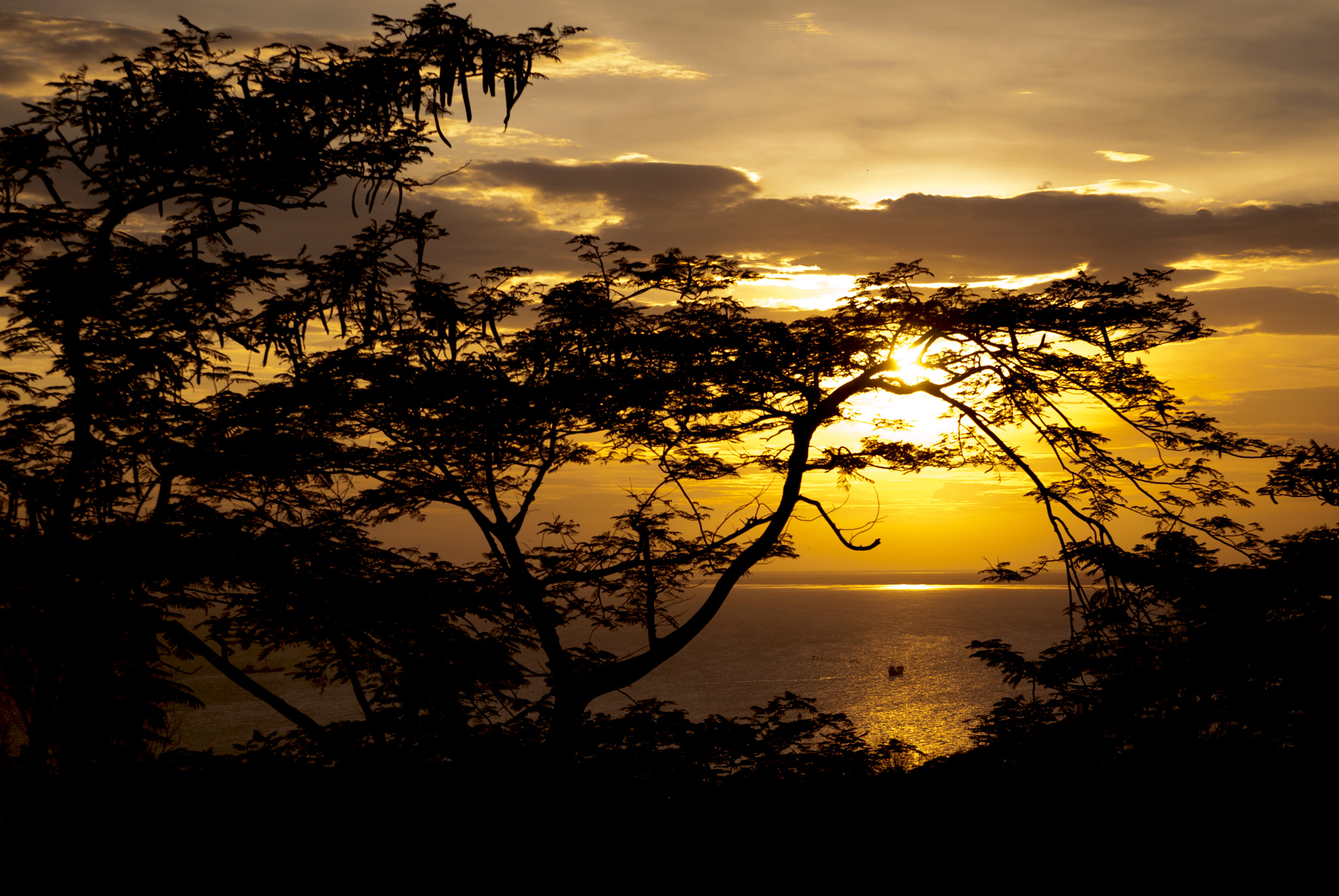 Nikon D60 sample photo. Watching sunset from the moutain photography