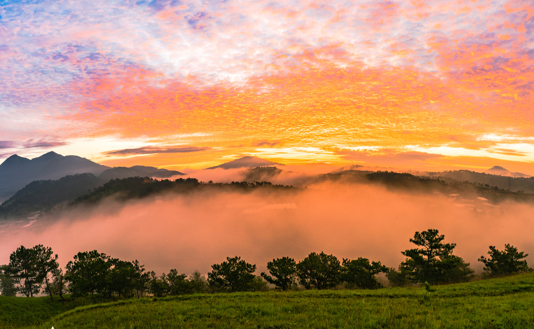 Sony FE 28mm F2 sample photo. Sunrise at da lat, viet nam photography