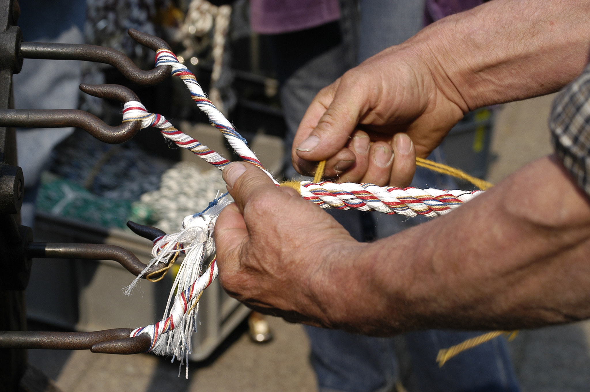 Nikon D100 sample photo. Rope manufacturer photography