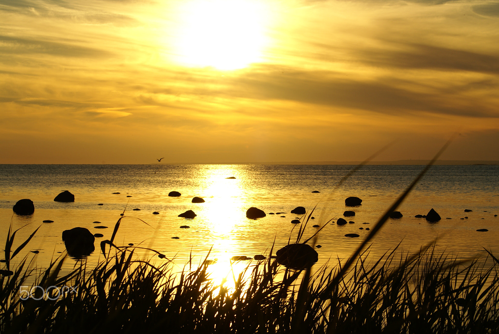 Sony 75-300mm F4.5-5.6 sample photo. Evening view of the sea photography