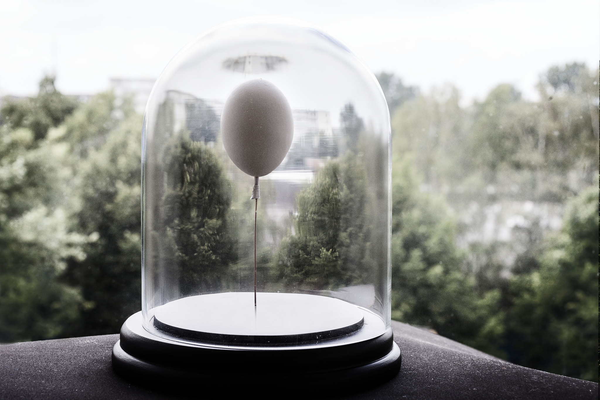 Canon EF 50mm F2.5 Macro sample photo. Eggballoon small world photography