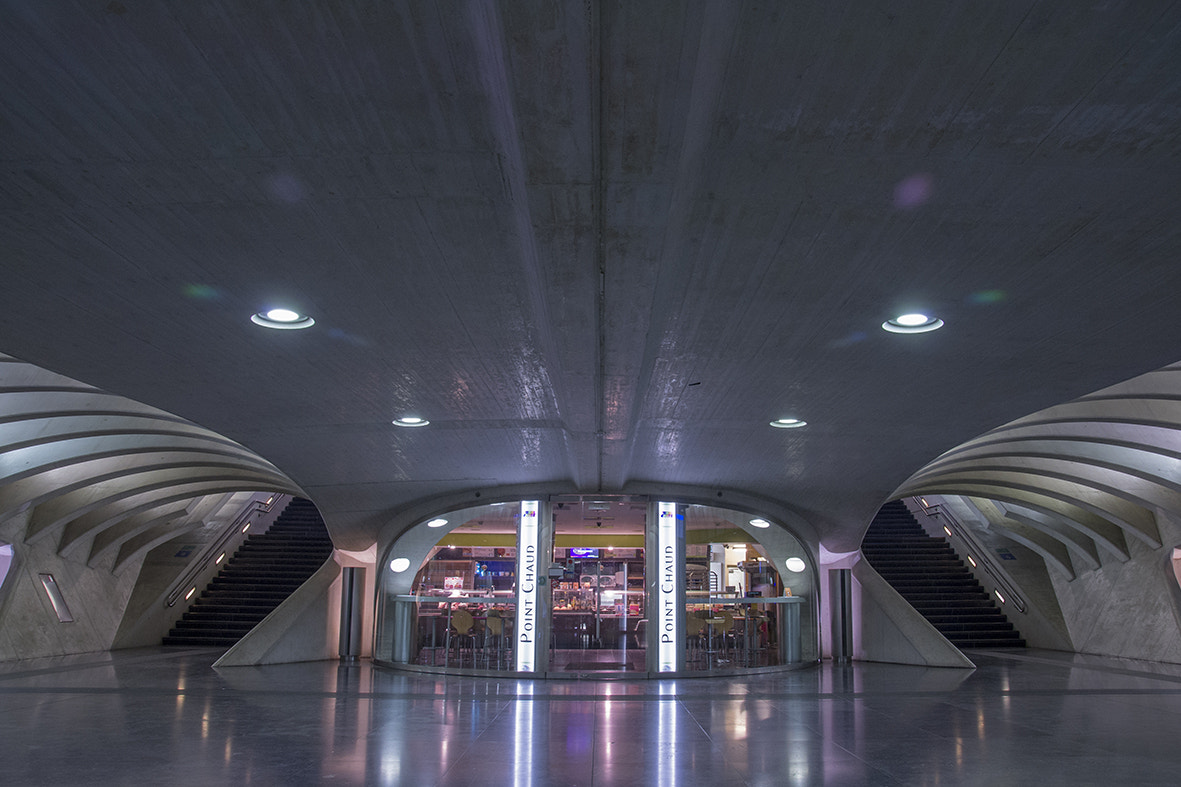 Pentax K-r sample photo. Koel warm punt in guillemins photography