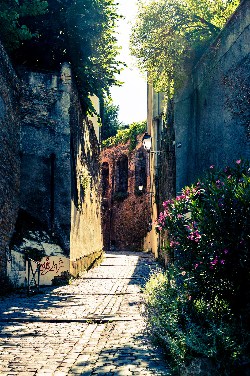 Canon EOS 6D + Canon EF 50mm F1.8 II sample photo. Vieux lyon - montée vers le jardin des curiosités photography