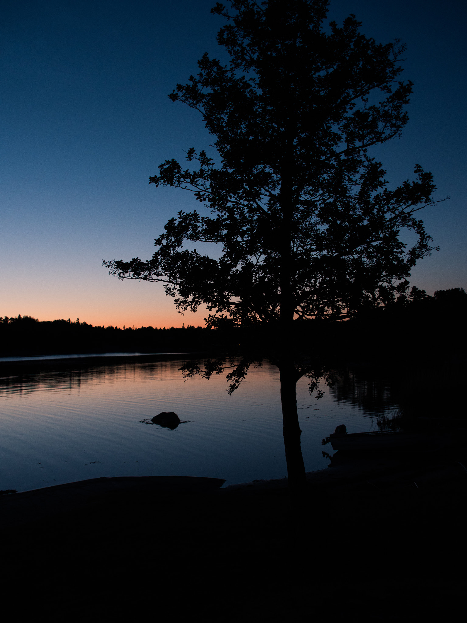 Panasonic Lumix DMC-GH4 sample photo. Silhouette of a tree photography