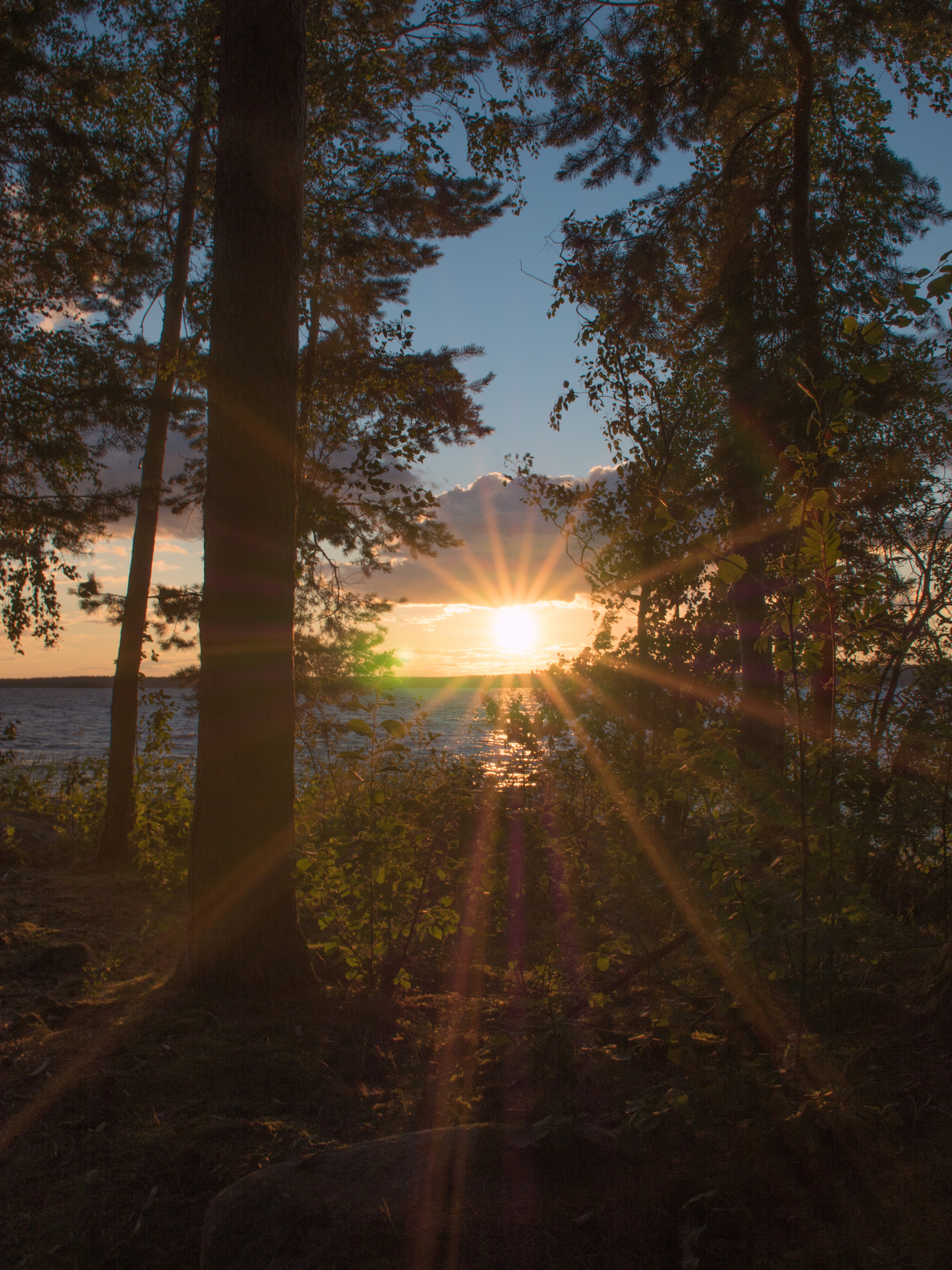 Panasonic Lumix DMC-GH4 sample photo. Sunset through the woods photography