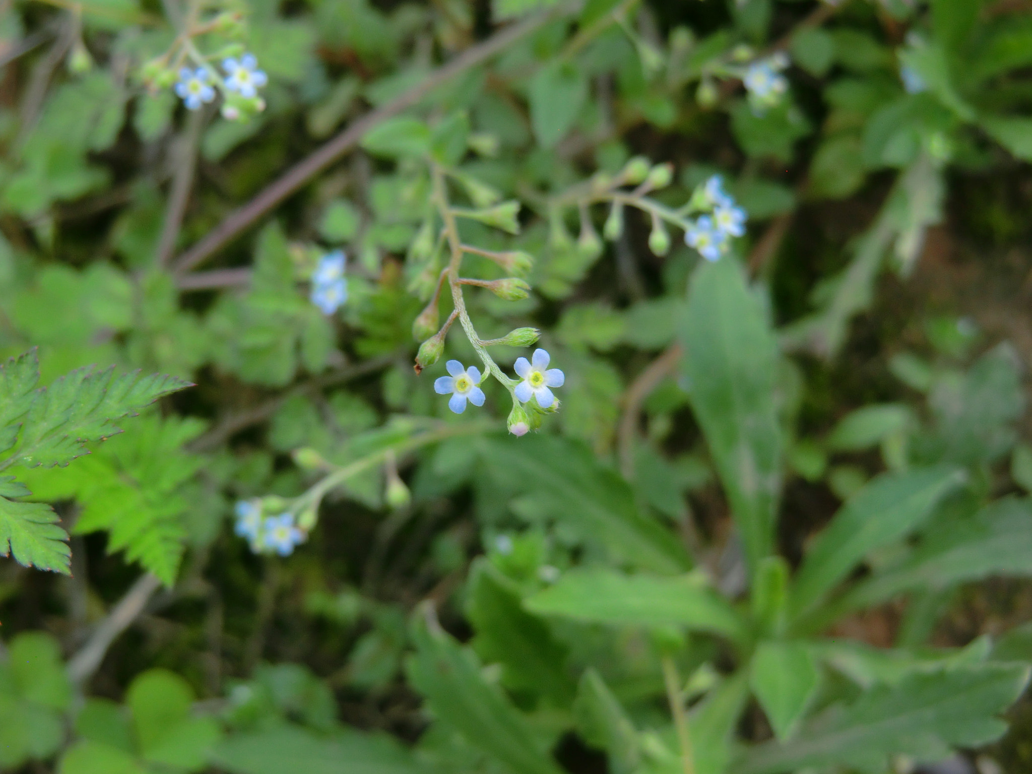CASIO EX-H15 sample photo. Patals photography
