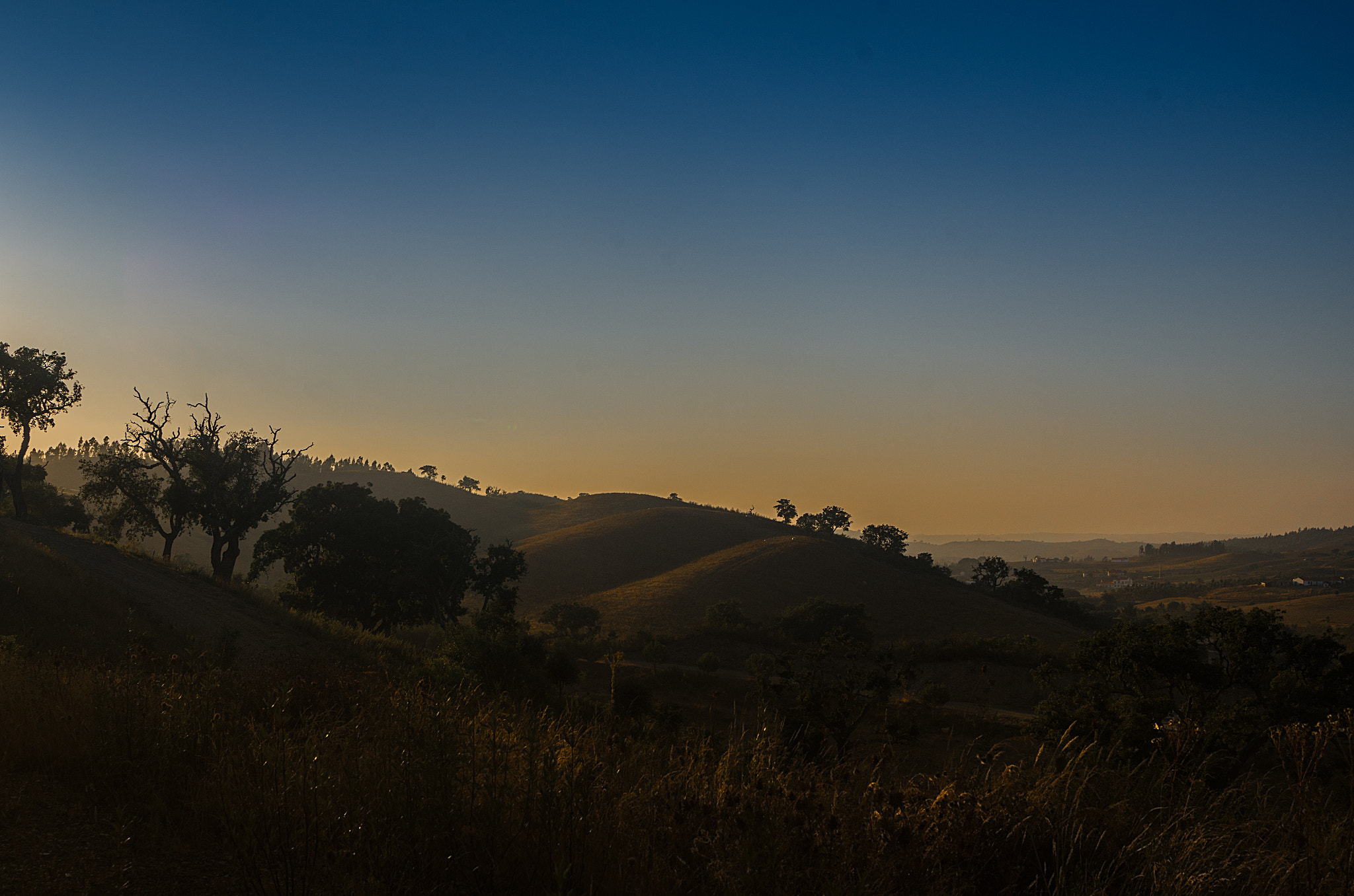 Pentax K-50 + Tamron AF 28-75mm F2.8 XR Di LD Aspherical (IF) sample photo. Alentejo photography