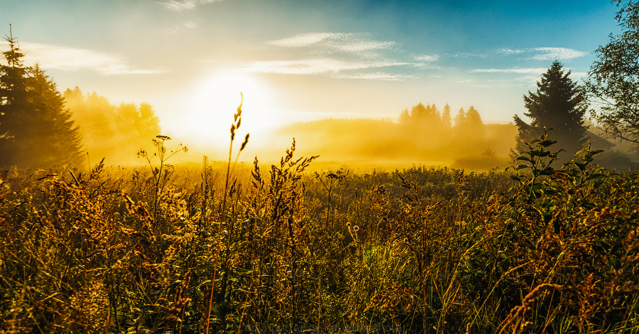 Nikon D90 + Sigma 10-20mm F3.5 EX DC HSM sample photo. Morning sun photography