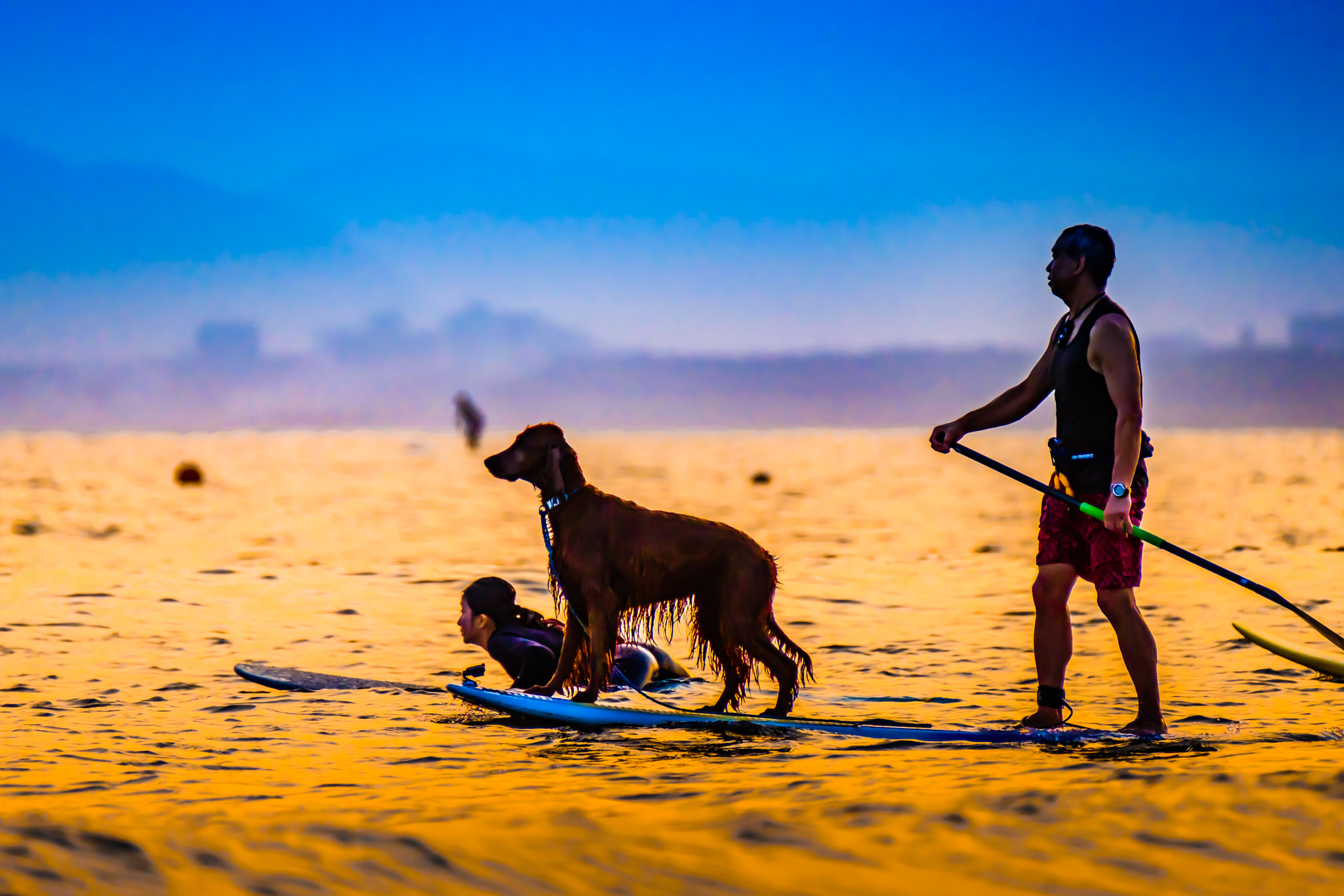 Fujifilm XF 100-400mm F4.5-5.6 R LM OIS WR sample photo. Surf dog　in orange photography