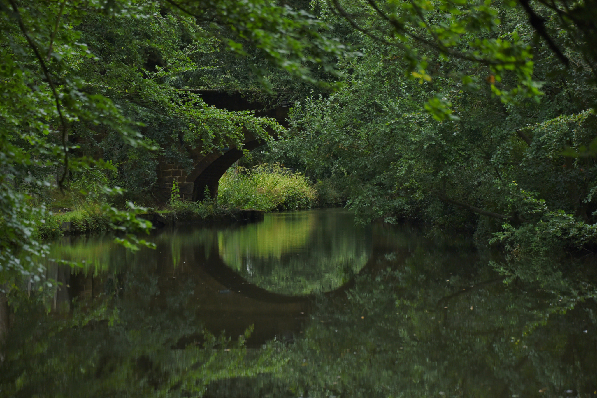 Sigma 50-500mm F4.5-6.3 DG OS HSM sample photo. Basingstoke canal mytchett 2 august 011 photography