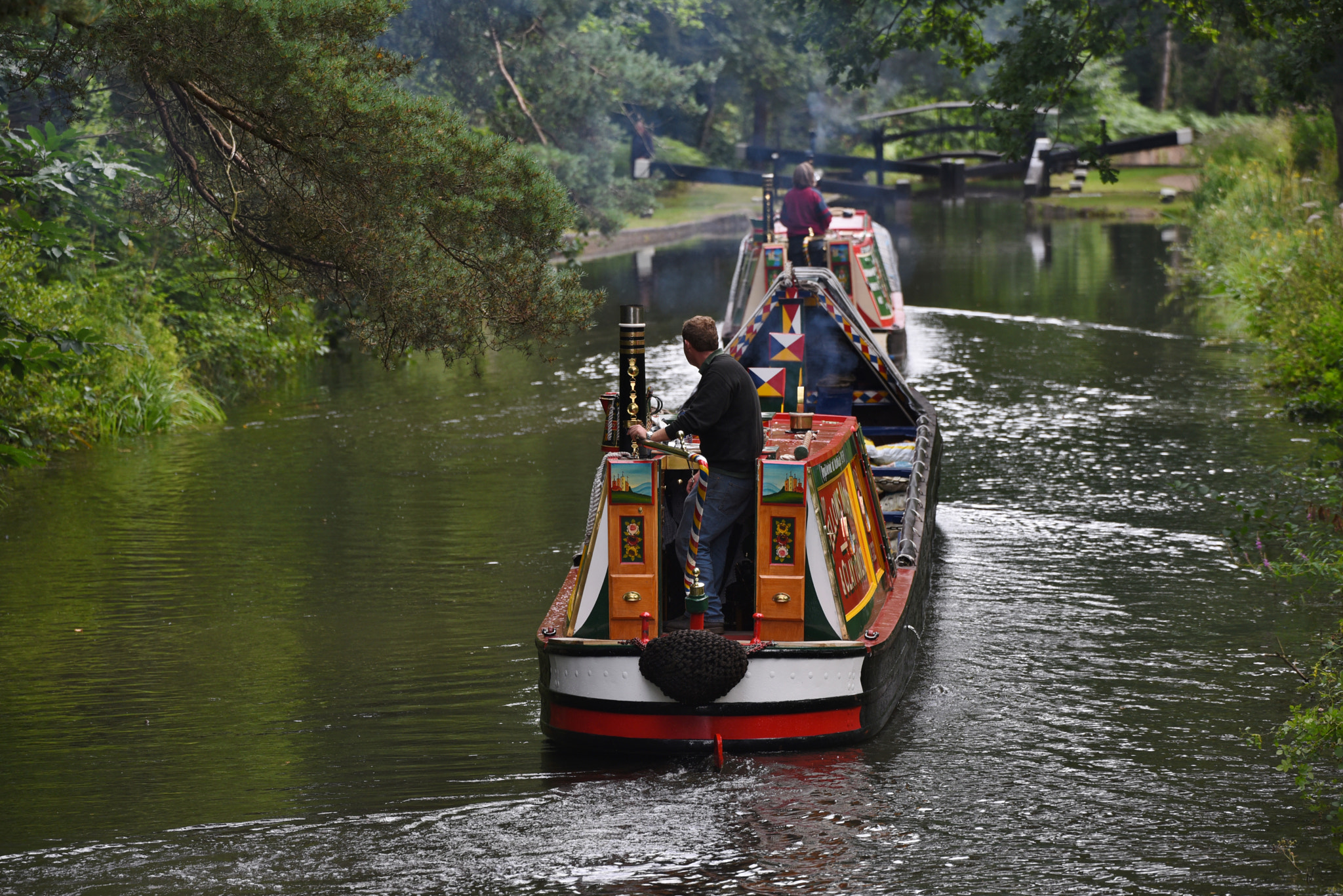 Sigma 50-500mm F4.5-6.3 DG OS HSM sample photo. Basingstoke canal deepcut 3 august 2016 014 photography