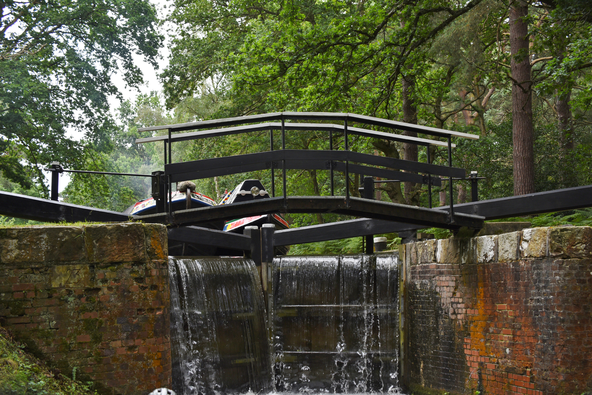 Sigma 50-500mm F4.5-6.3 DG OS HSM sample photo. Basingstoke canal deepcut 3 august 2016 019 photography