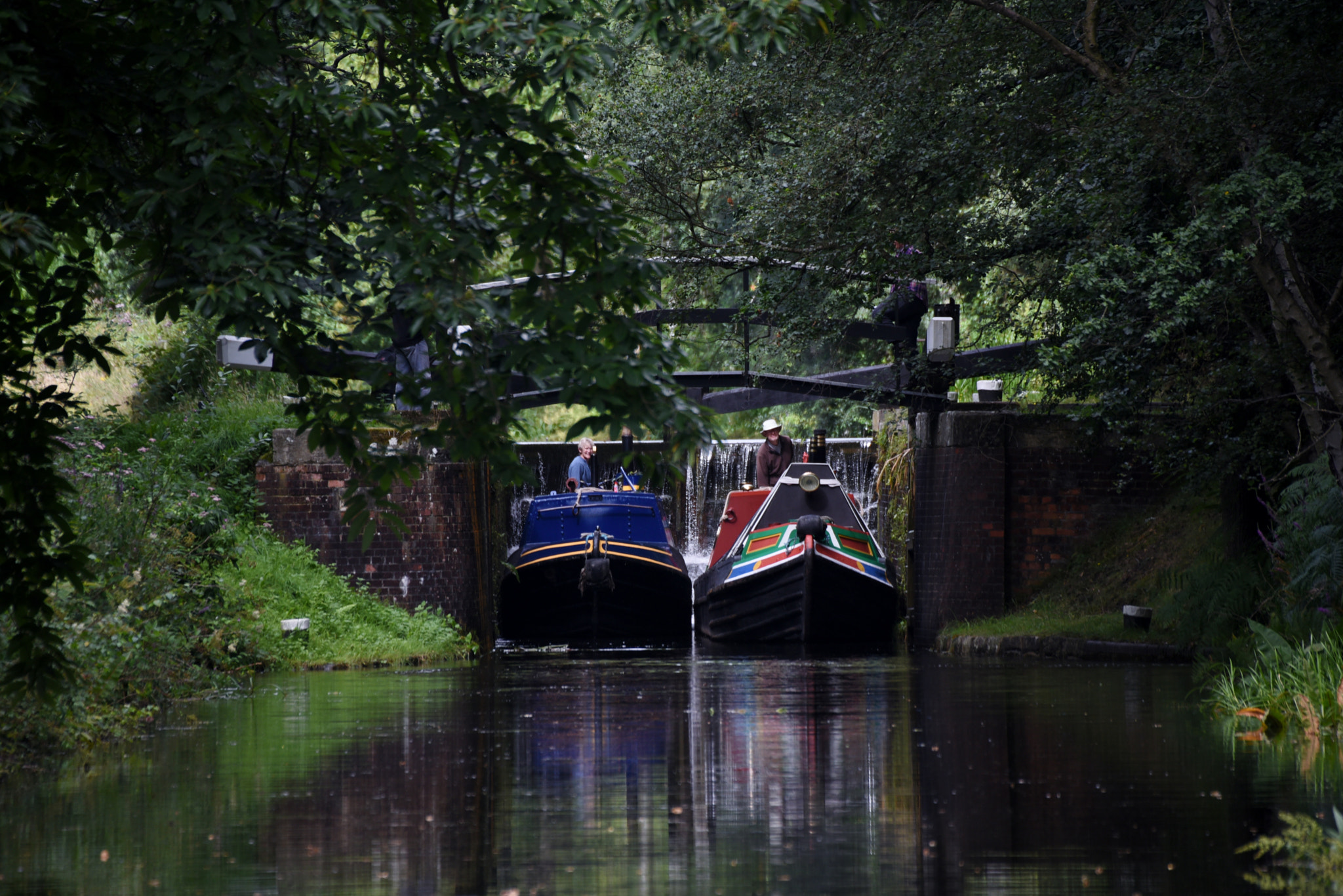 Sigma 50-500mm F4.5-6.3 DG OS HSM sample photo. Basingstoke canal deepcut 3 august 2016 035 photography
