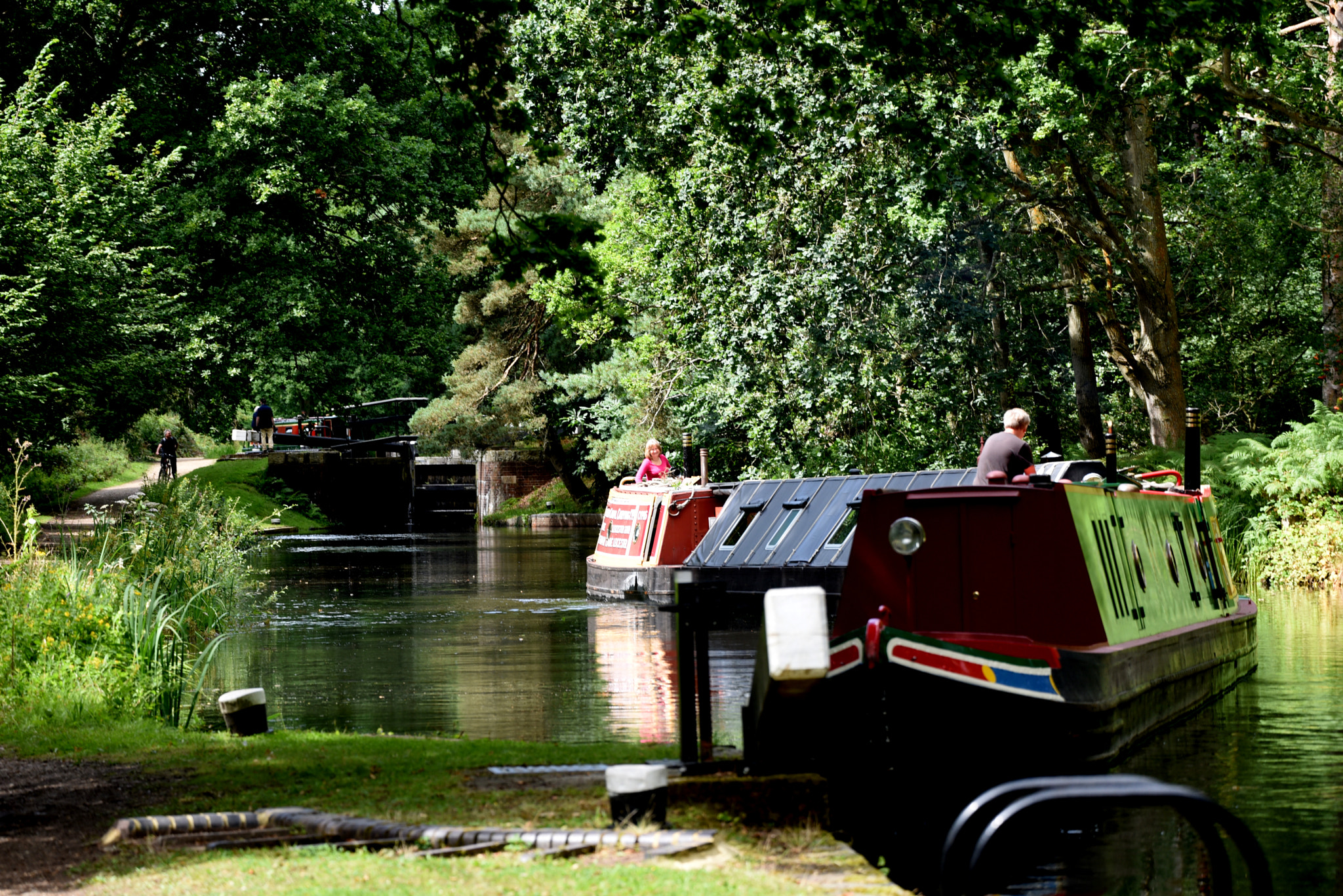 Sigma 50-500mm F4.5-6.3 DG OS HSM sample photo. Basingstoke canal deepcut 3 august 2016 093 photography
