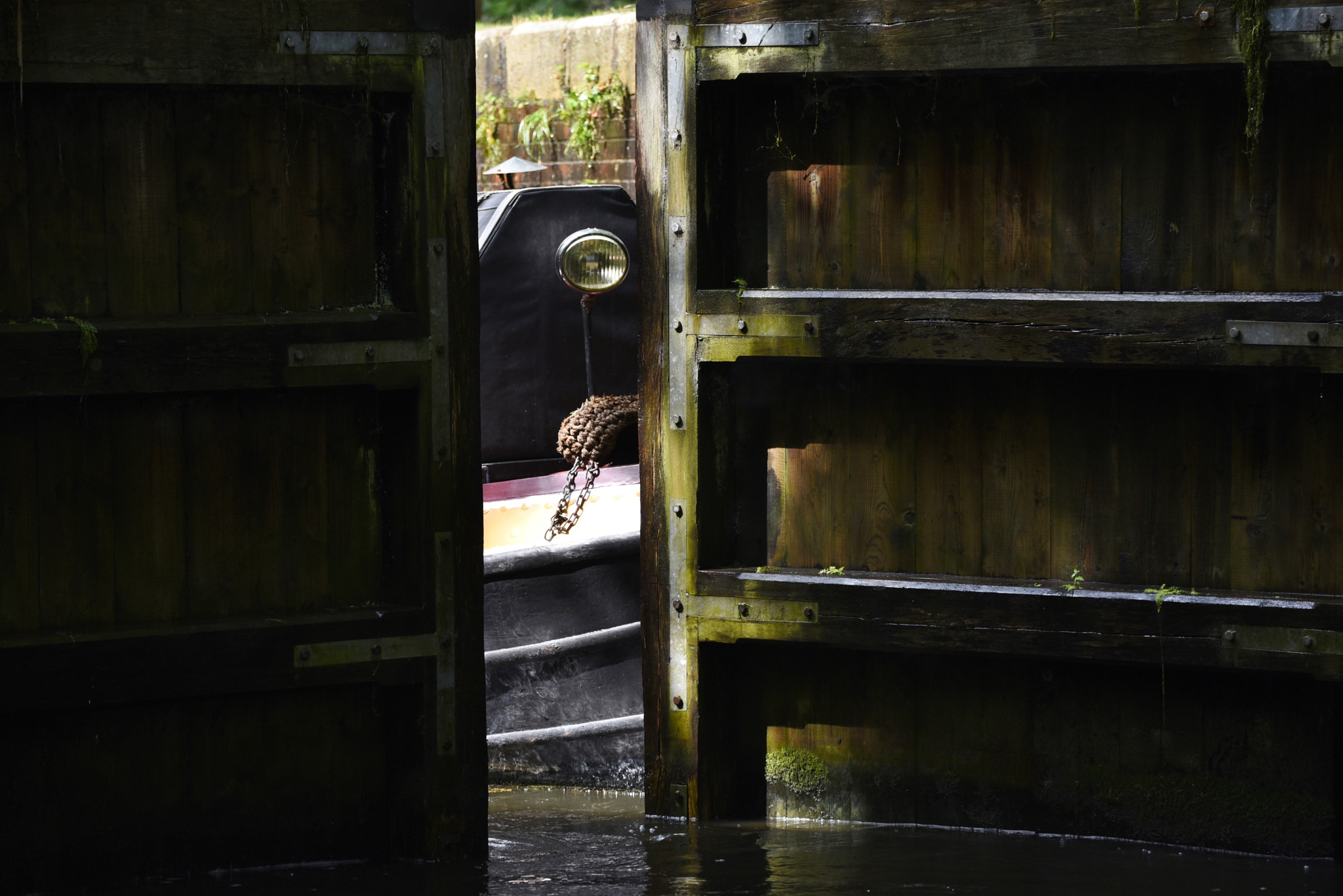 Sigma 50-500mm F4.5-6.3 DG OS HSM sample photo. Basingstoke canal deepcut 3 august 2016 129 photography