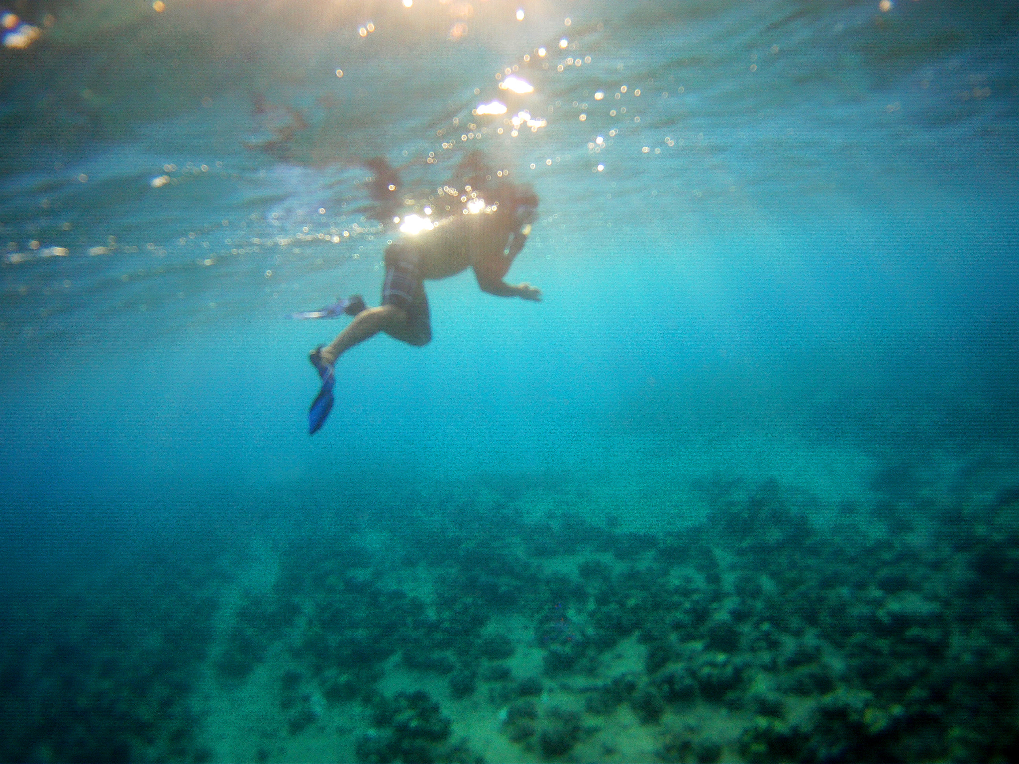 GoPro YHDC5170 sample photo. Touchedbylight photography