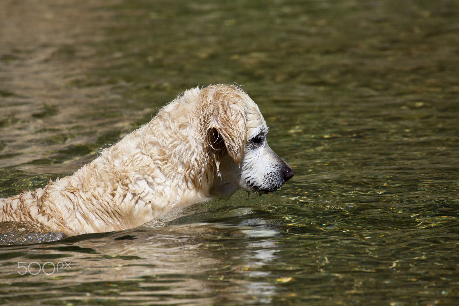 Canon EOS 5D Mark II + Canon EF 100-400mm F4.5-5.6L IS USM sample photo. Fishing photography