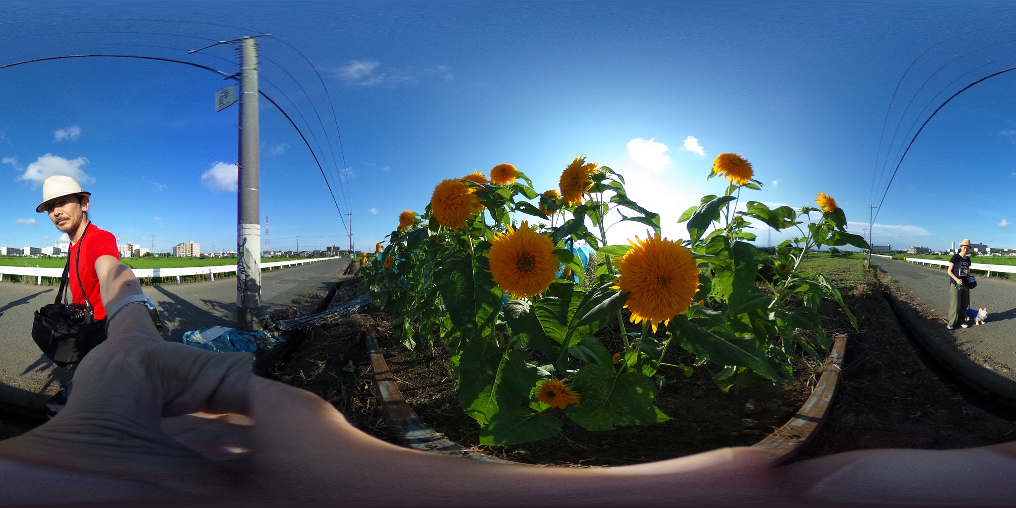 Ricoh Theta S sample photo. Ricoh theta s : august 4 2016 photography