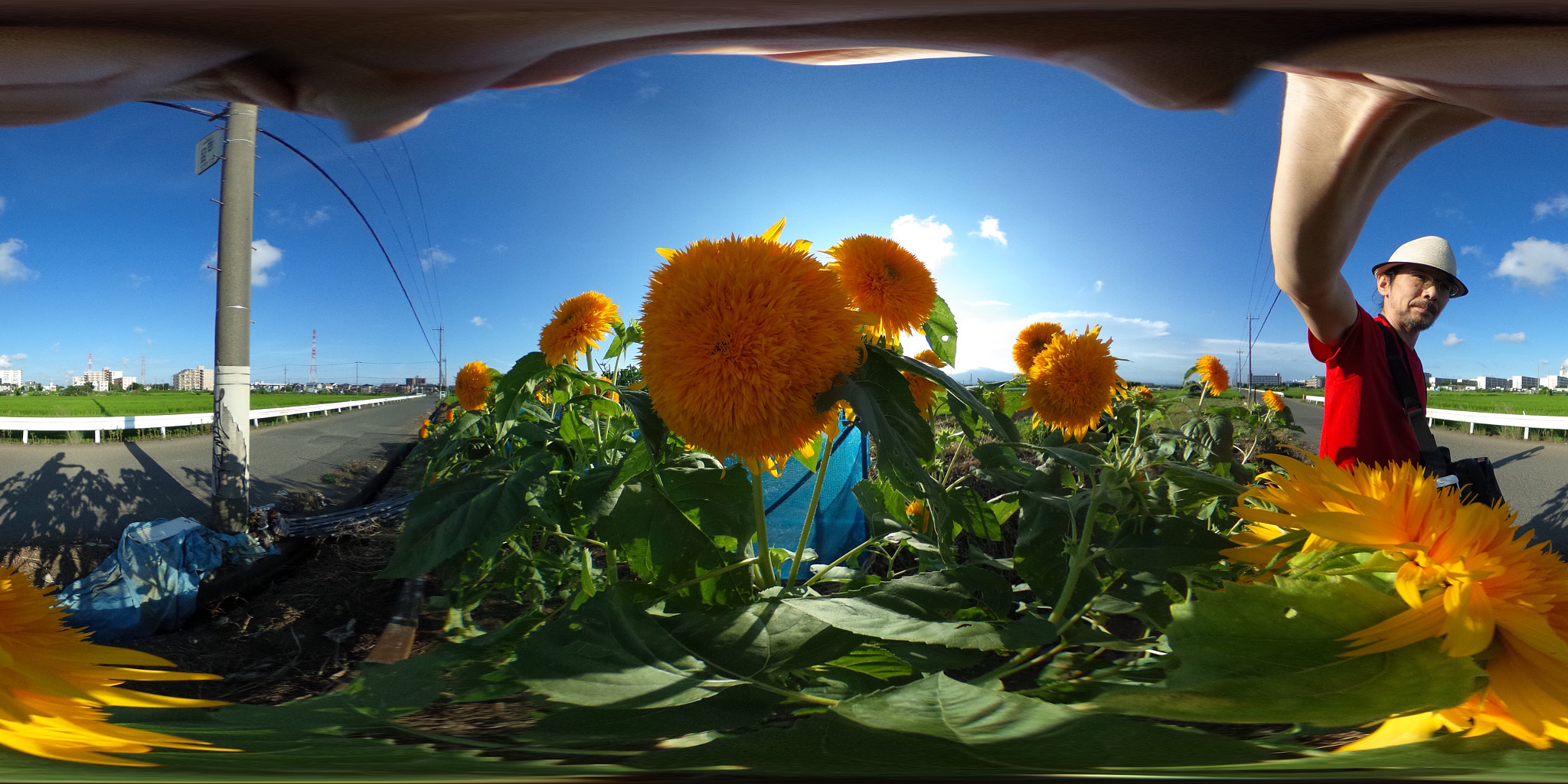 Ricoh Theta S sample photo. Ricoh theta s : august 4 2016 photography