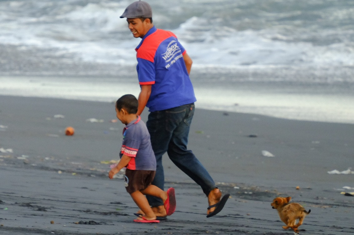Fujifilm X-E2S + Fujifilm XF 55-200mm F3.5-4.8 R LM OIS sample photo. Run master! run! photography