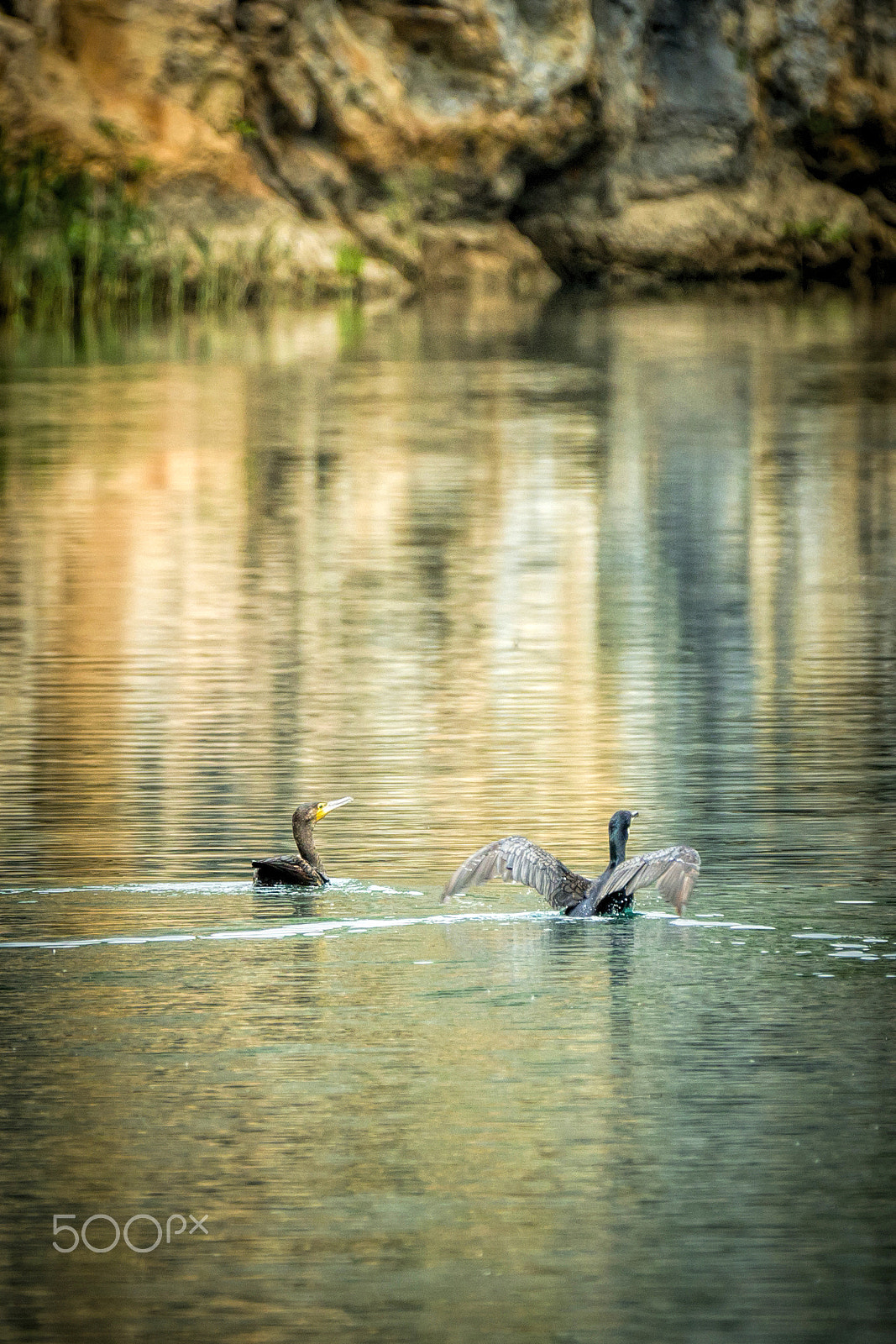 Canon EF 70-200mm F2.8L IS II USM sample photo. River siesta.jpg photography