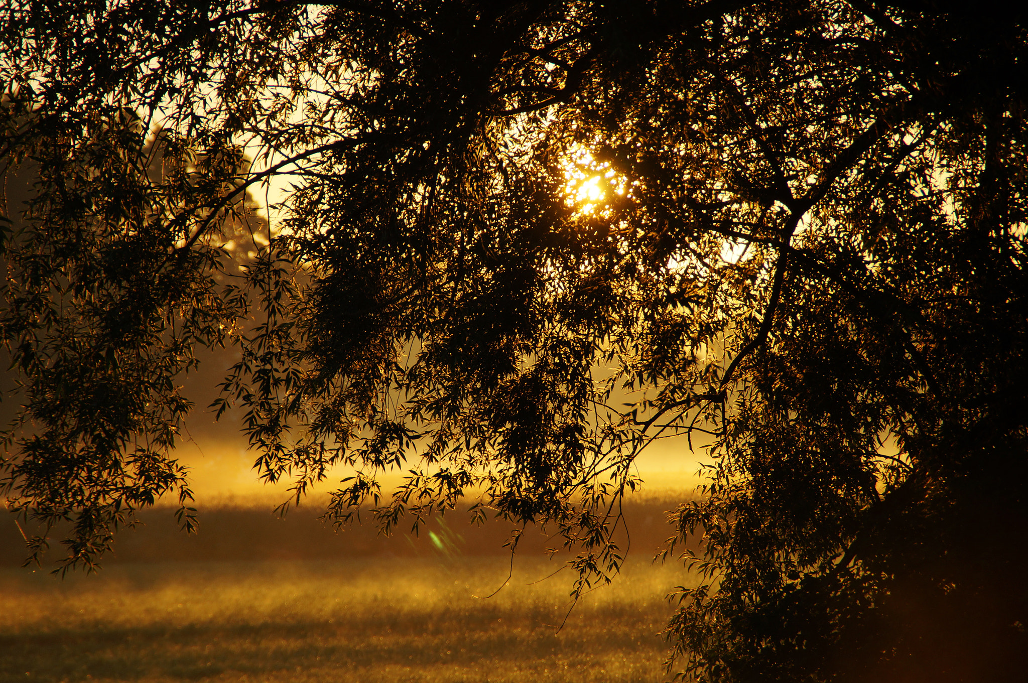 Sony SLT-A57 sample photo. Sunrise photography