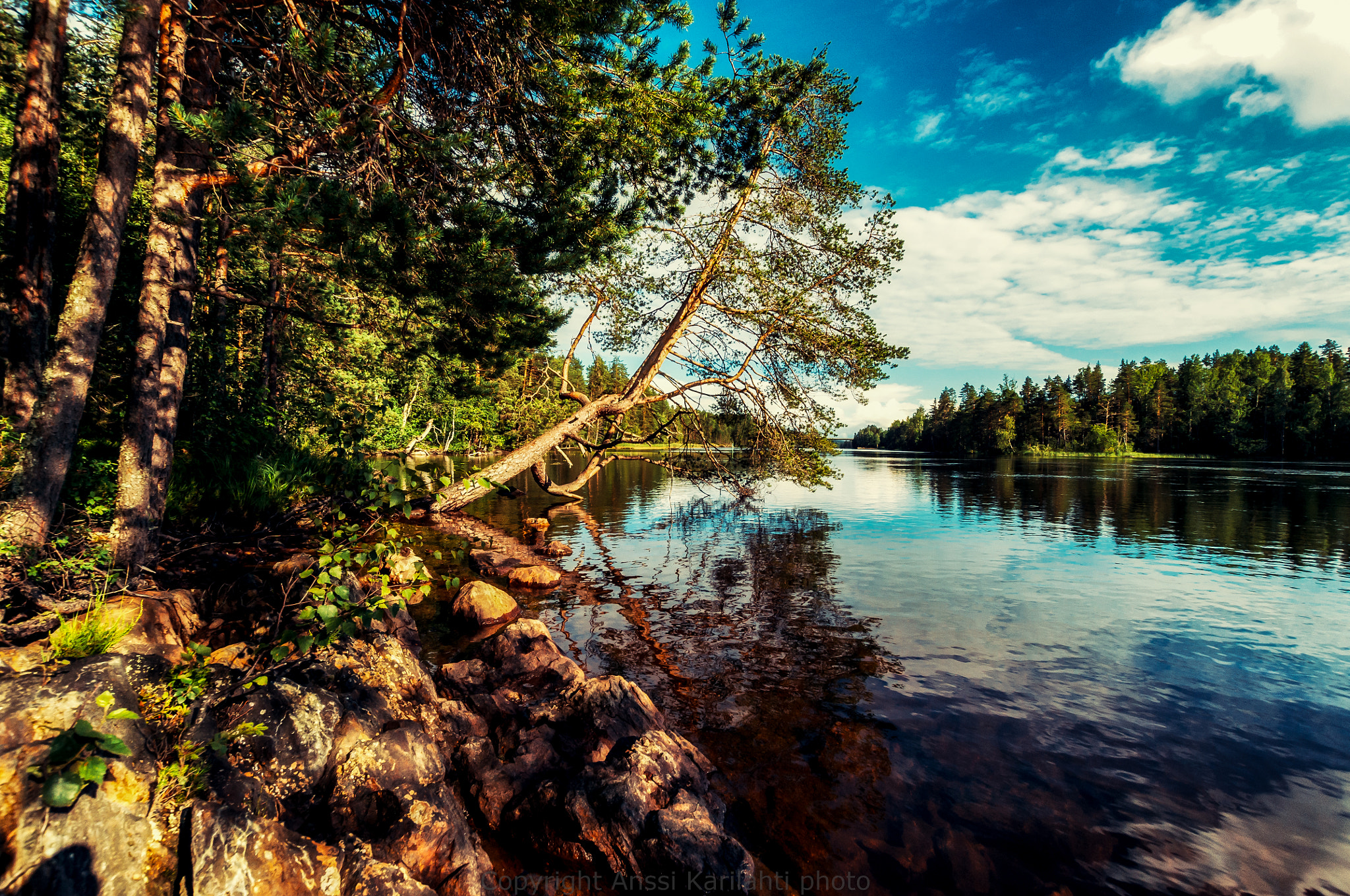 Nikon D300 + Sigma 10-20mm F3.5 EX DC HSM sample photo. Forest lake iv photography