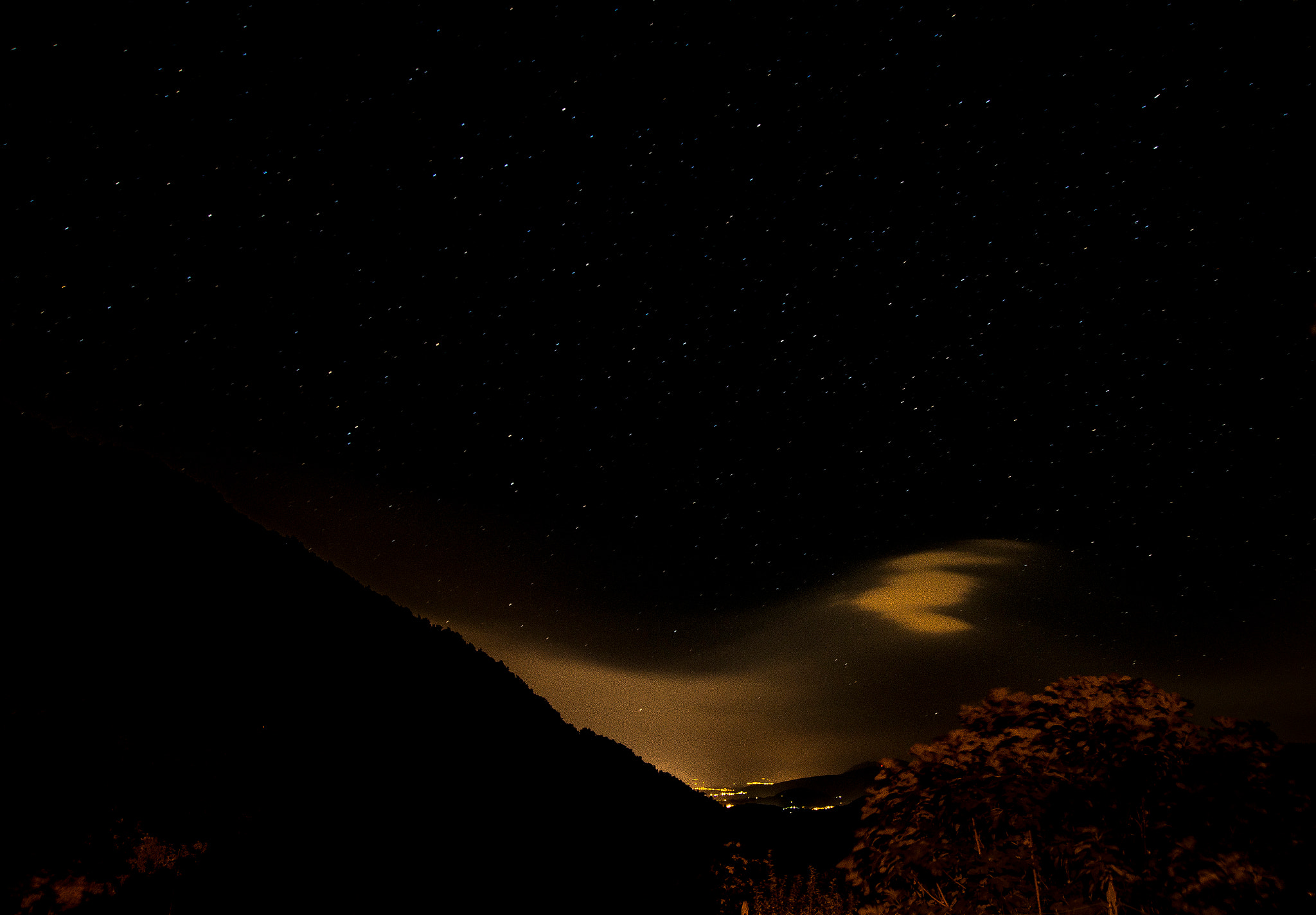 Nikon D600 sample photo