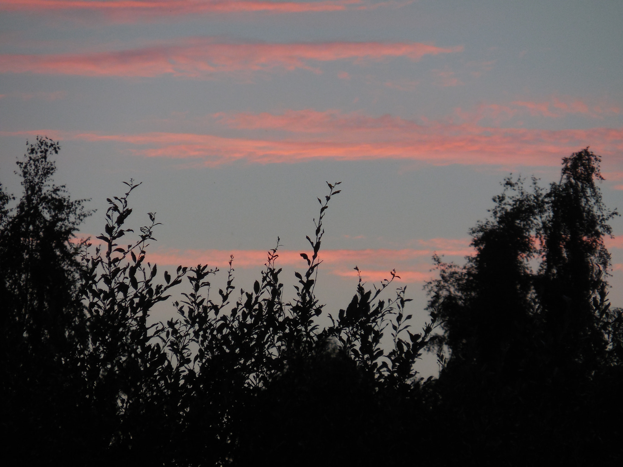 Nikon COOLPIX S6600 sample photo. Pink sky photography