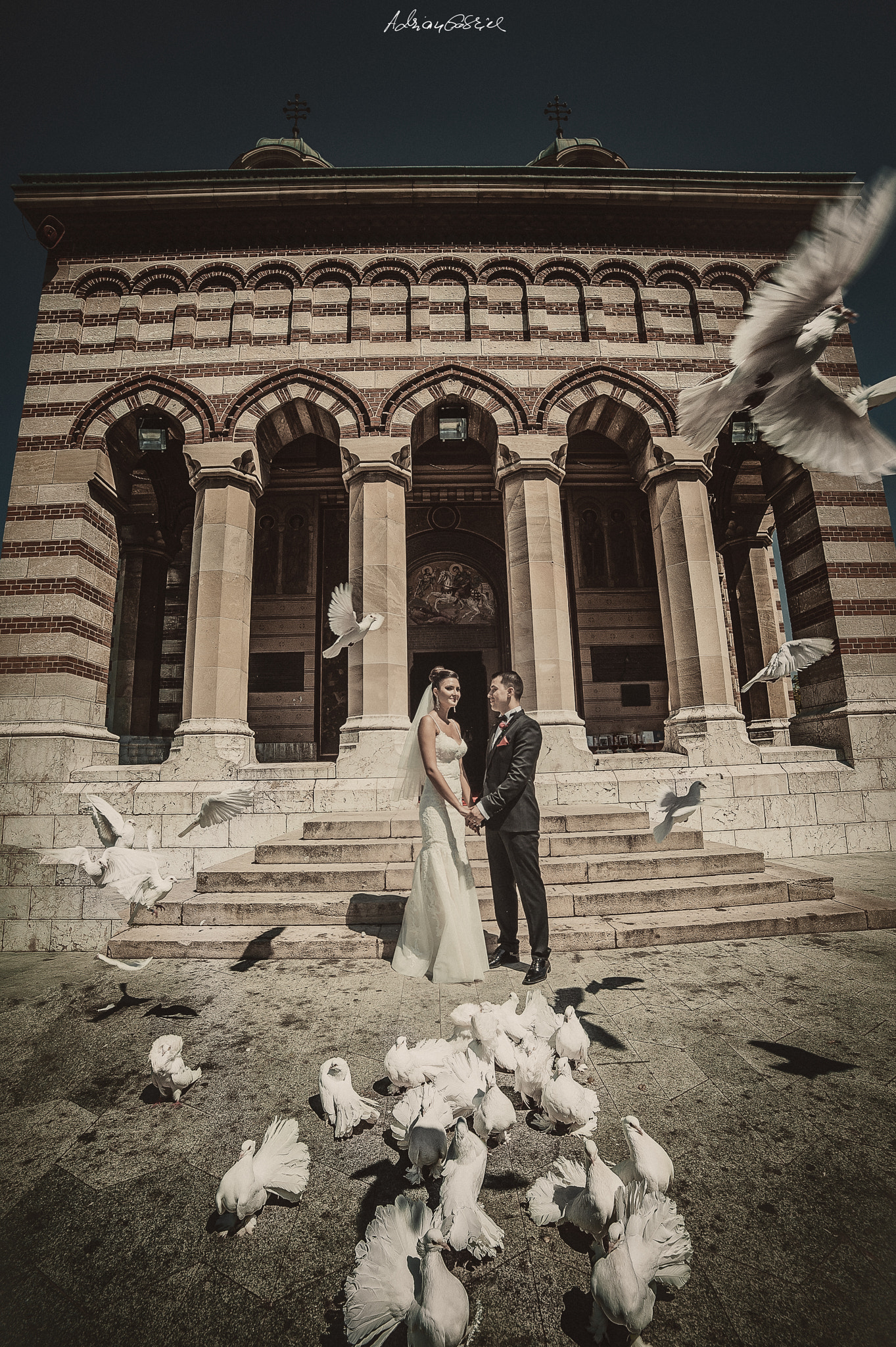 Nikon D3 sample photo. Wedd photography