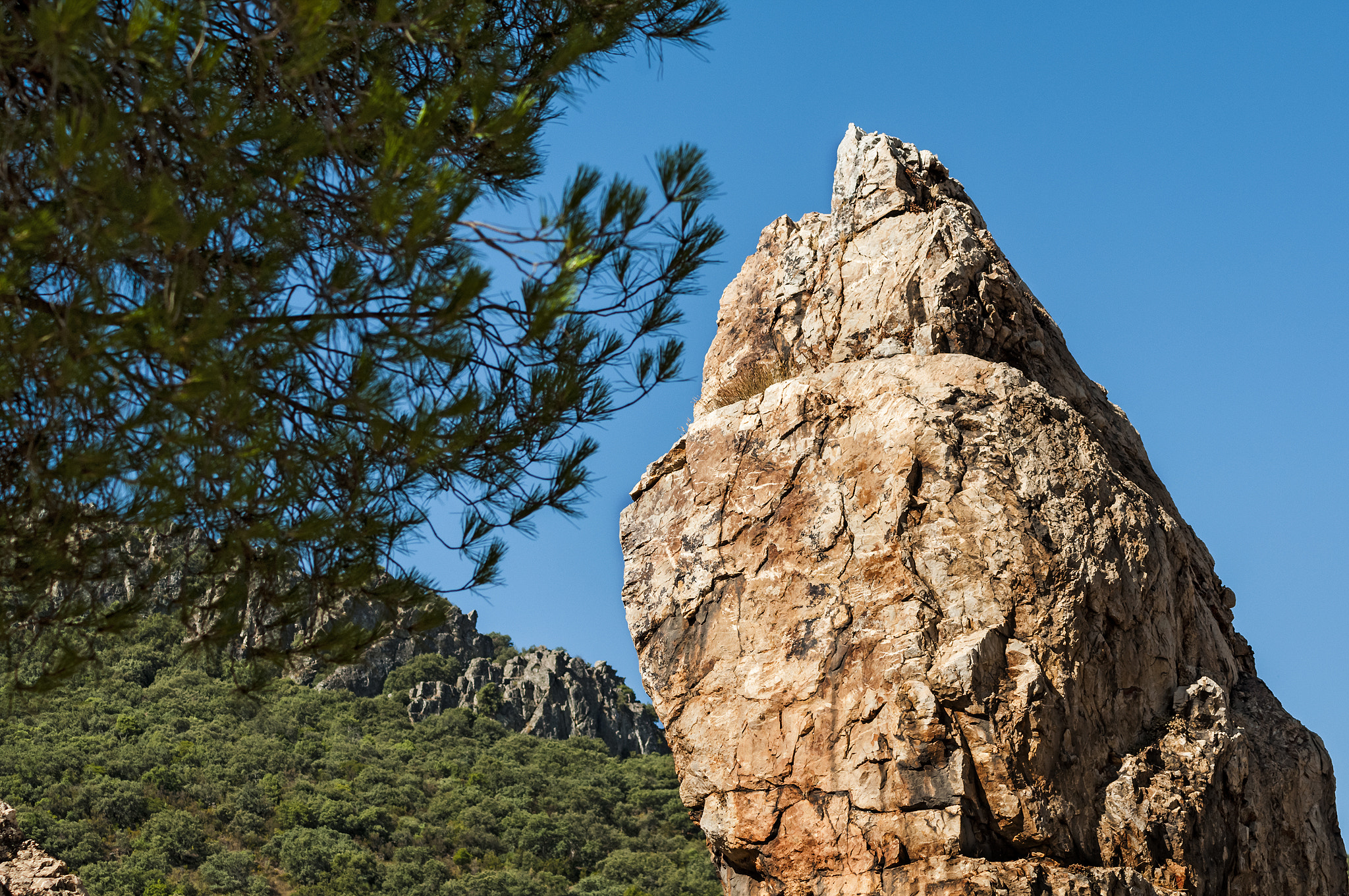 Nikon D300 sample photo. Almaden12 photography