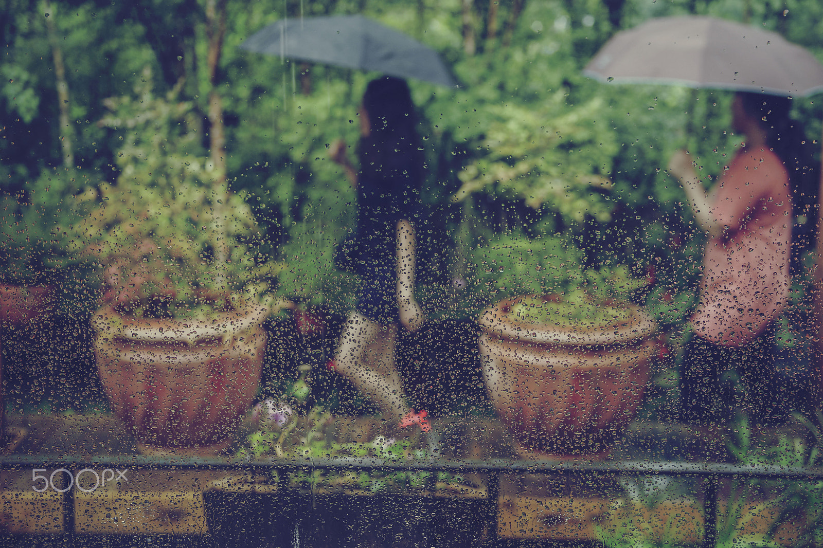 Sony 70-300mm F4.5-5.6 G SSM sample photo. Rainy day photography