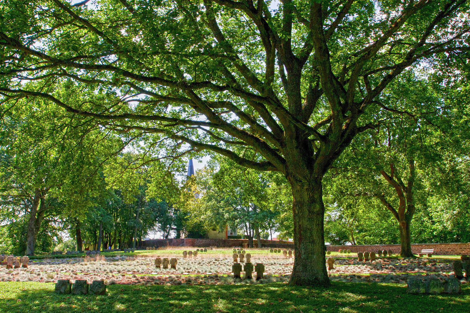 Canon EOS 30D + Canon EF 17-40mm F4L USM sample photo. War grave under the tree photography
