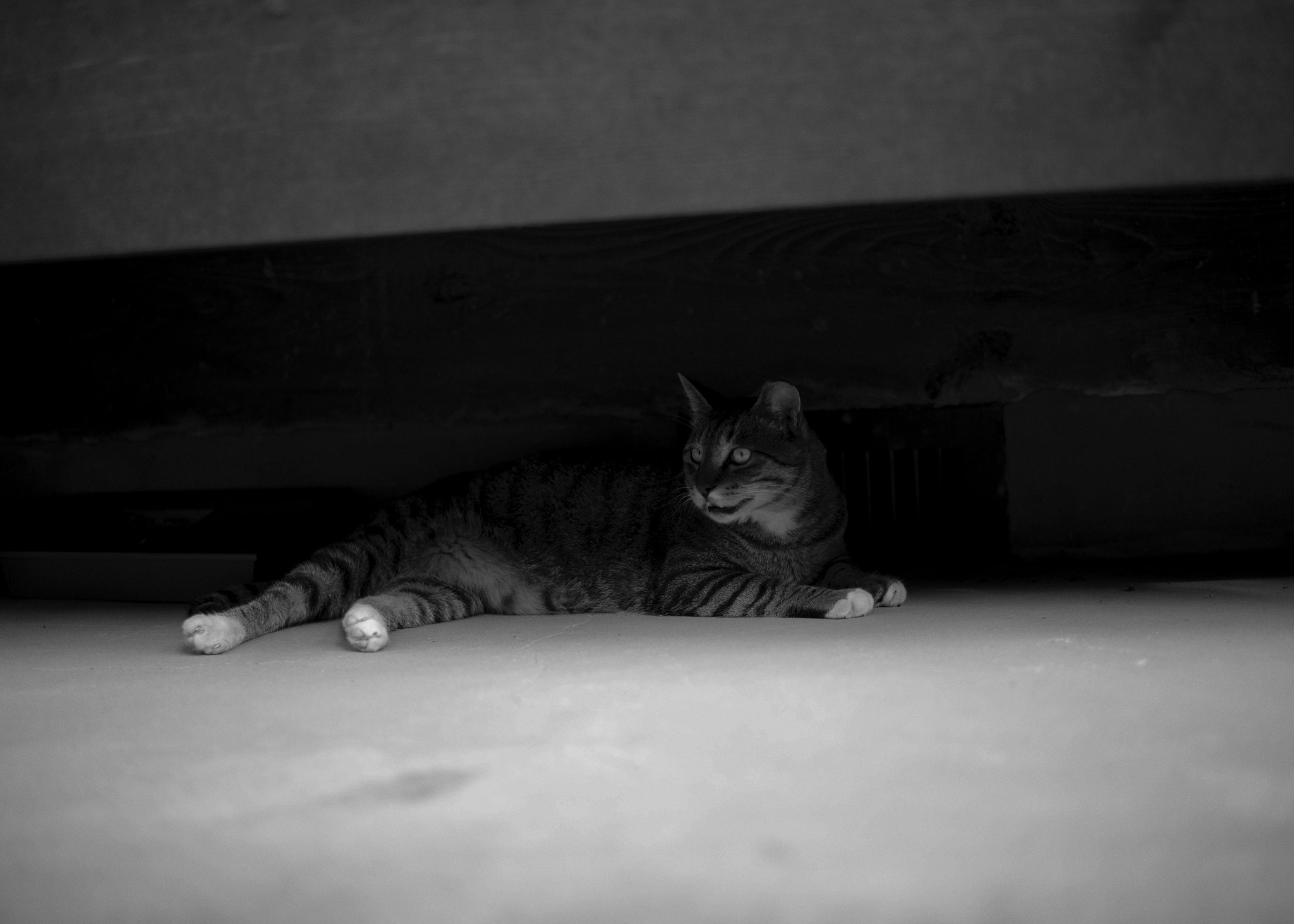 Leica Summilux-M 35mm F1.4 ASPH sample photo