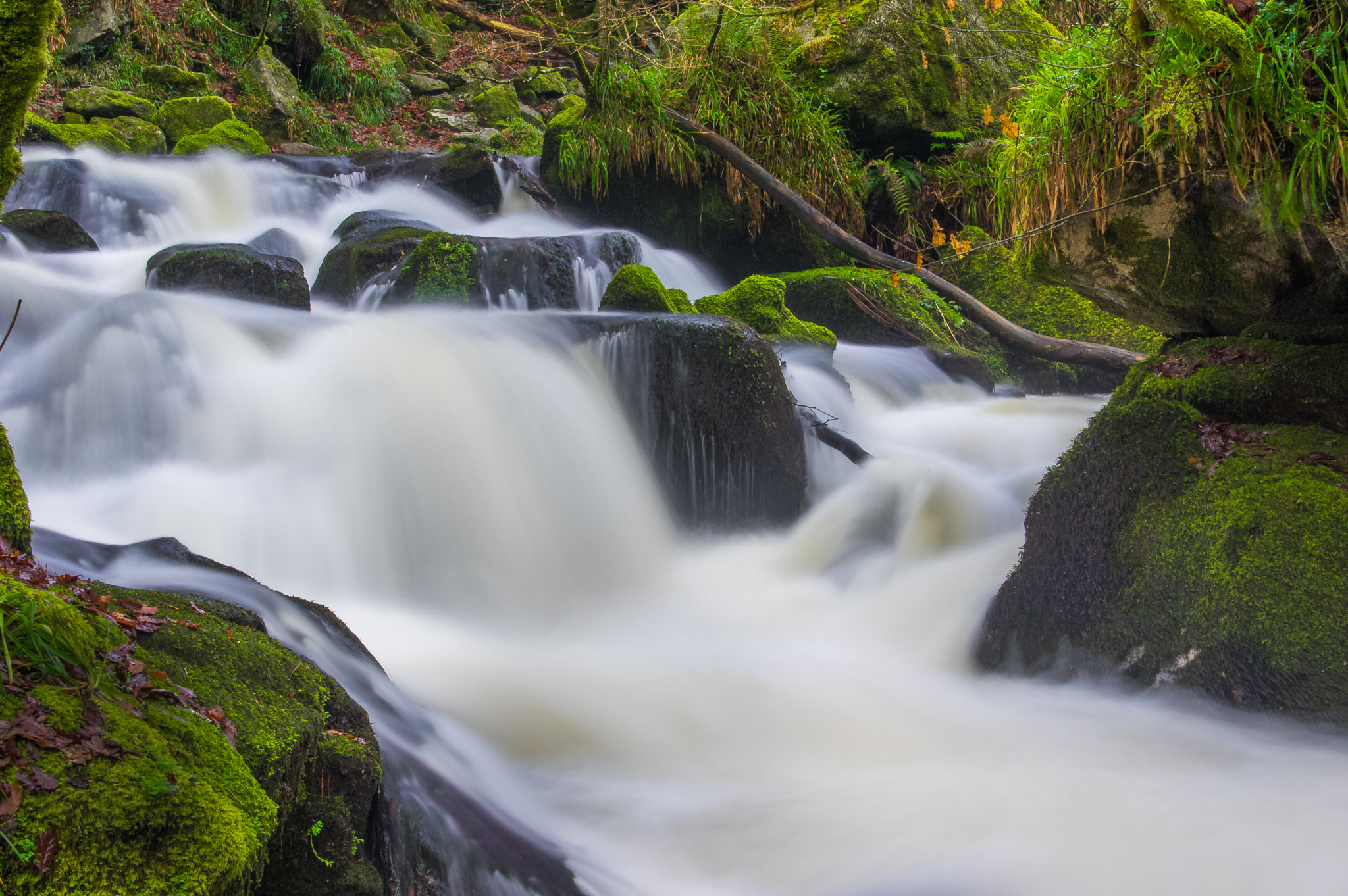Pentax K-3 sample photo. Golitha falls photography