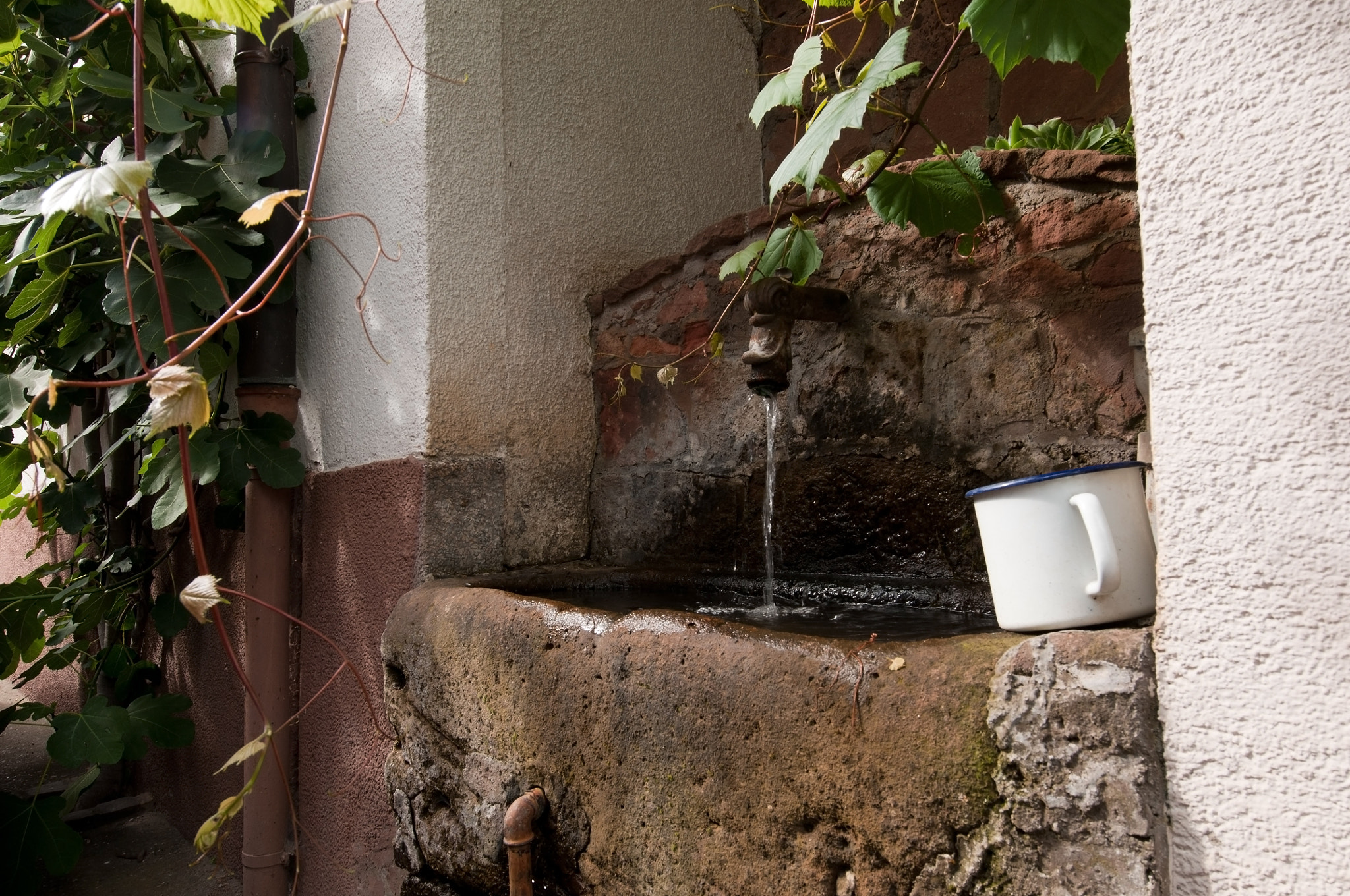 Nikon D300S sample photo. Water with mug photography