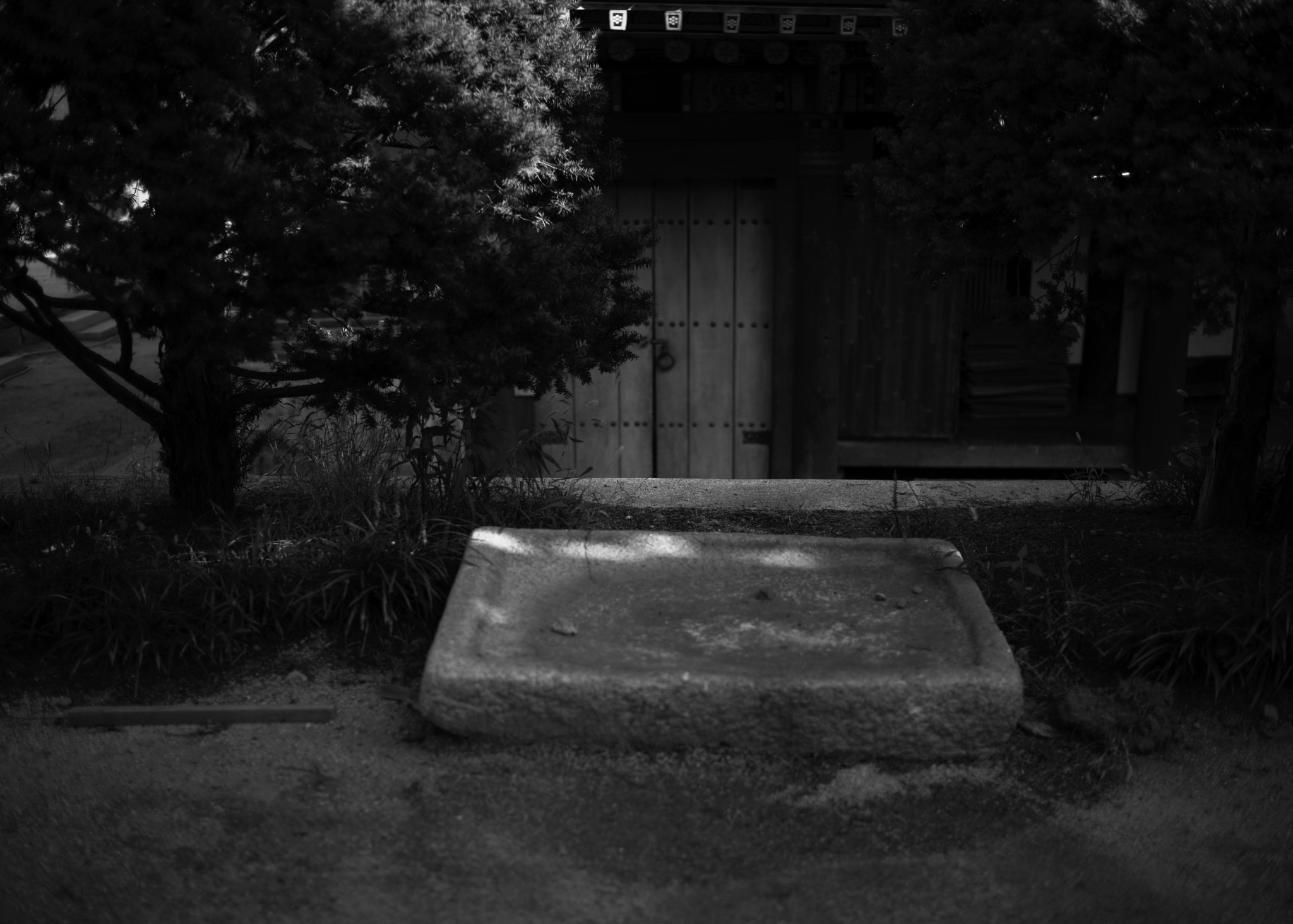 Leica Summilux-M 35mm F1.4 ASPH sample photo