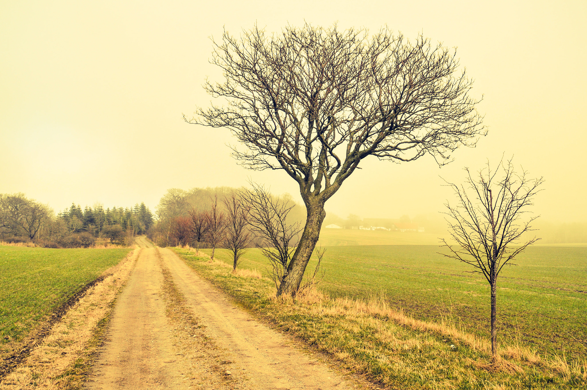 Nikon D300 sample photo. Edited photography