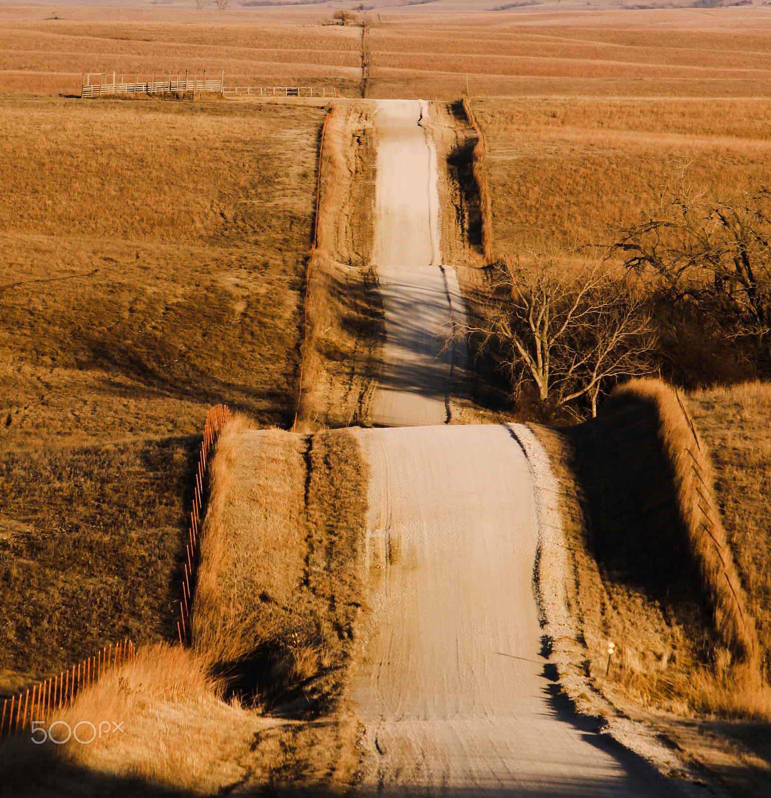 Canon EF 70-200mm F2.8L IS USM sample photo. Flint hills photography