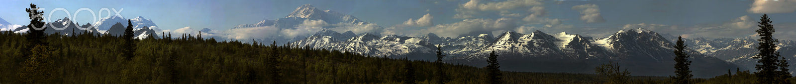 Canon EF 70-200mm F2.8L IS USM sample photo. Denali national park photography
