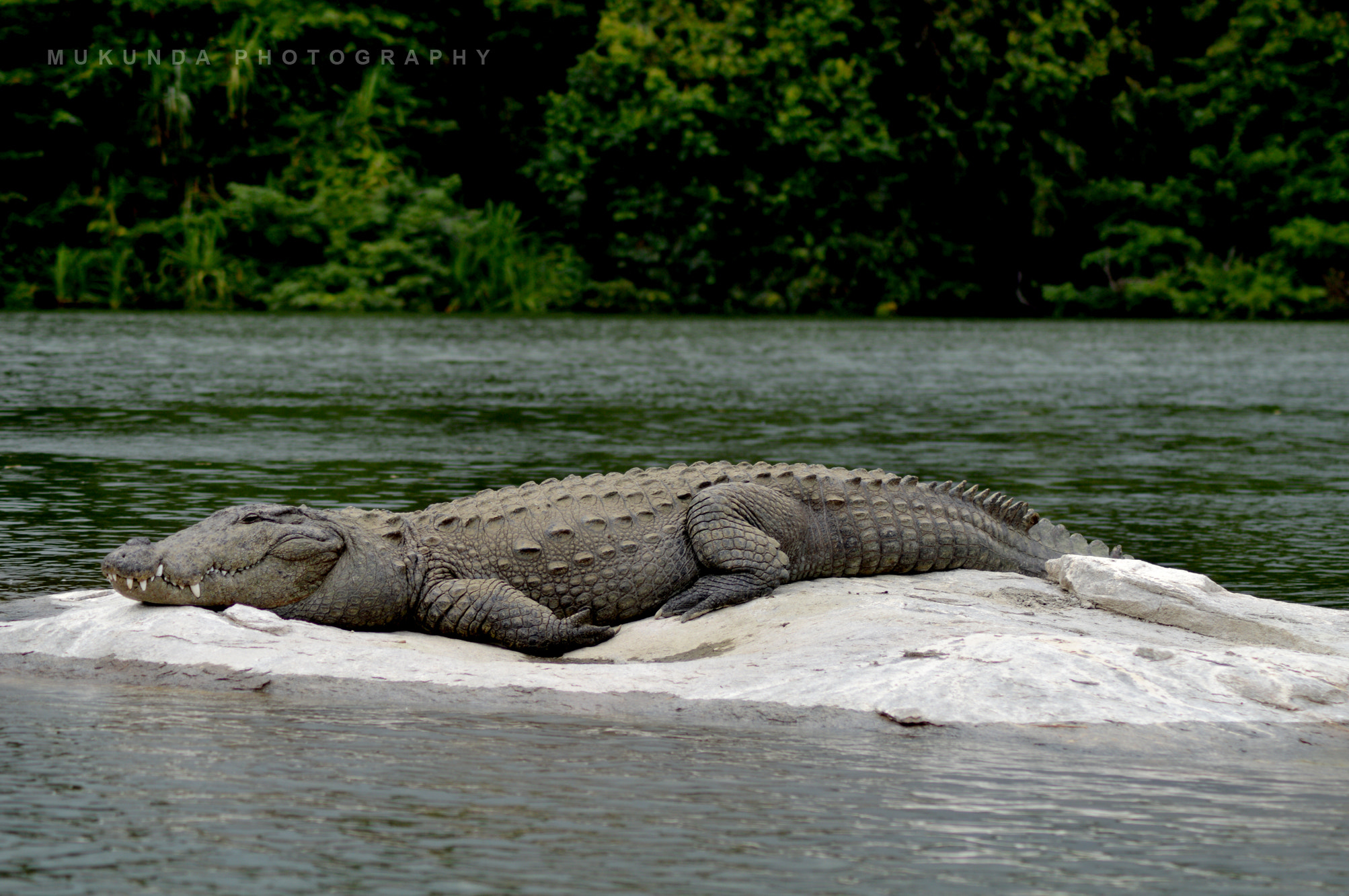 Nikon D3200 + AF Zoom-Nikkor 70-210mm f/4 sample photo. After meals!! photography