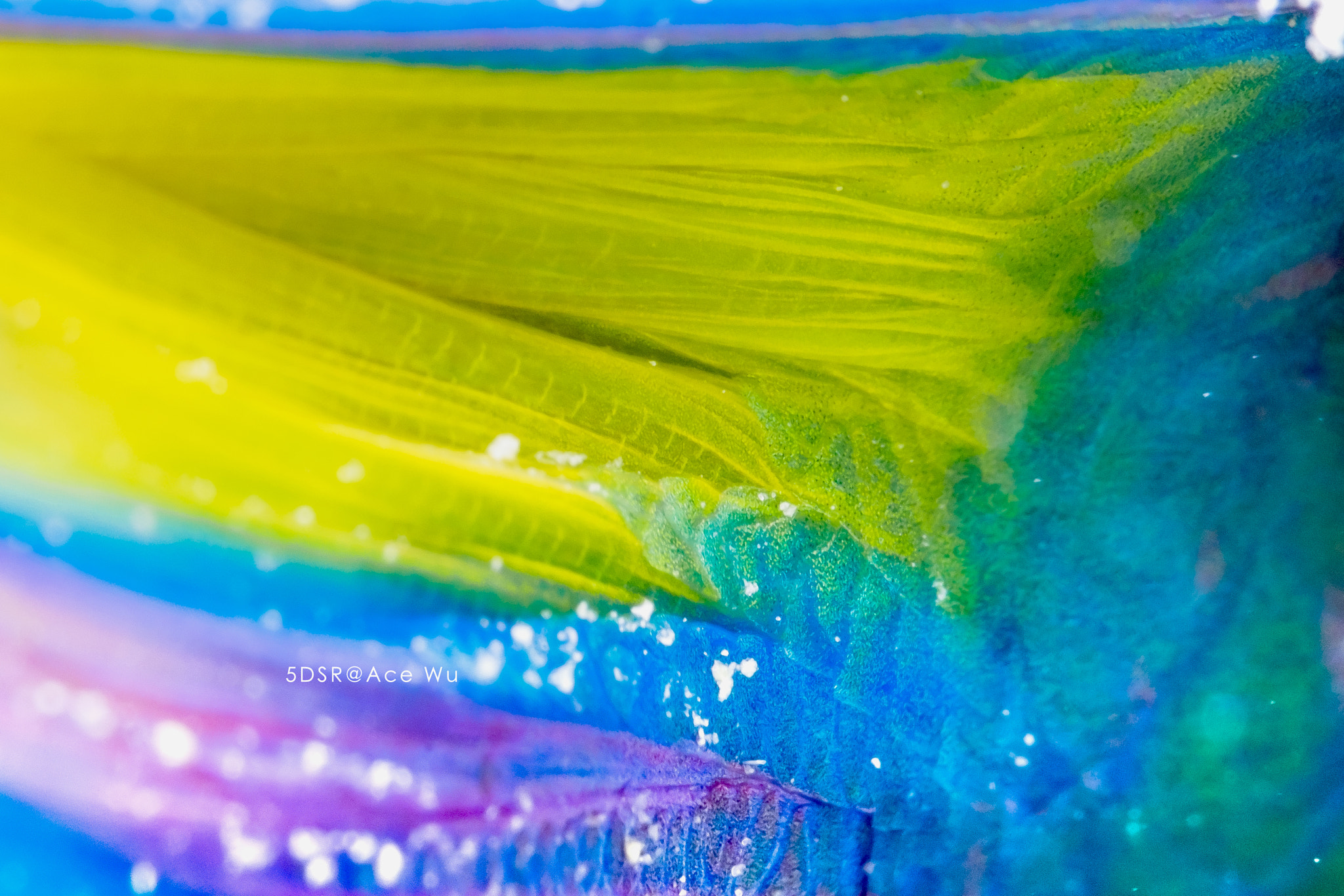 Canon EF 100mm F2.8L Macro IS USM sample photo. Hill photography