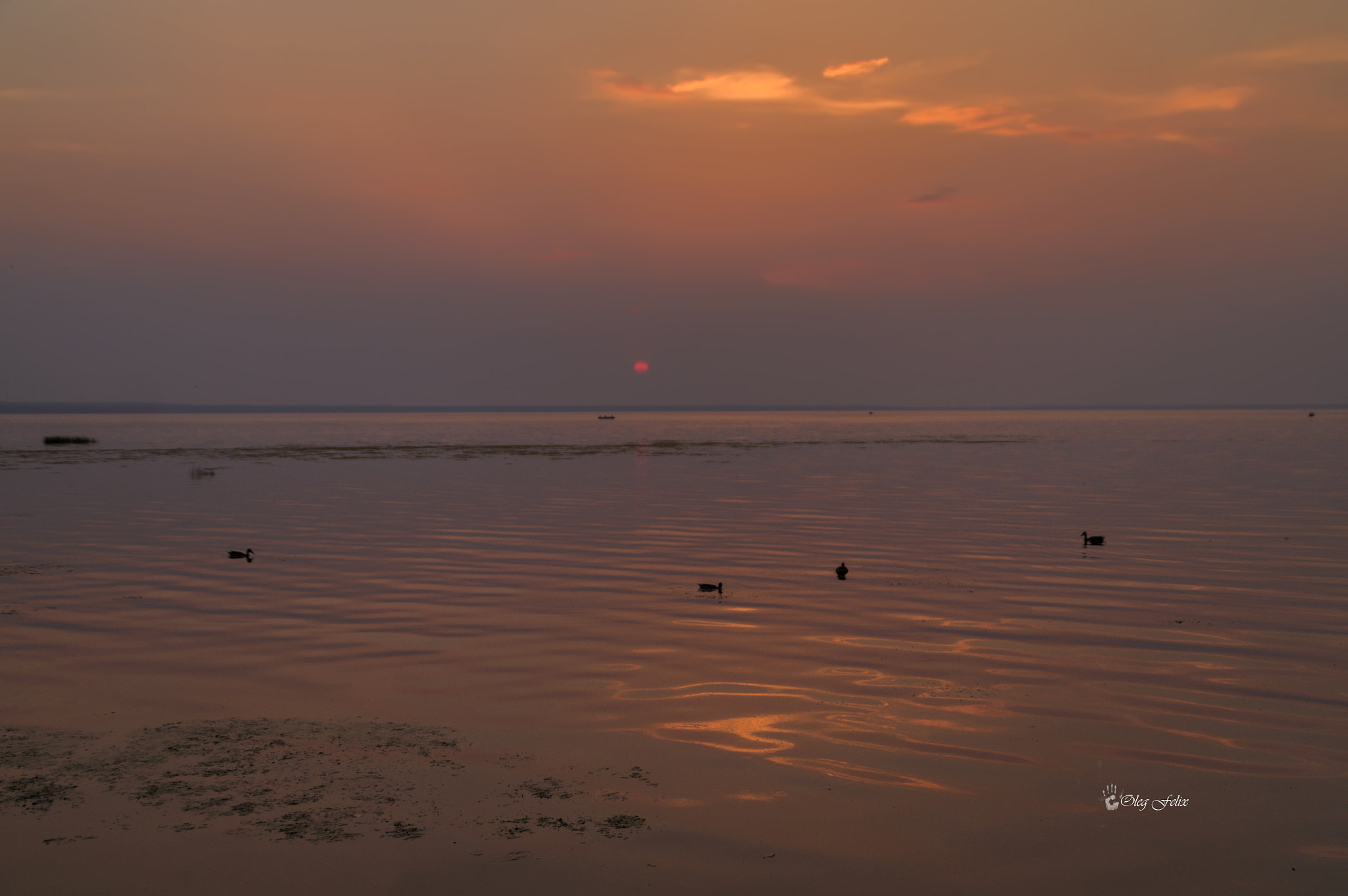 Sony SLT-A37 sample photo. Evening on the lake. photography