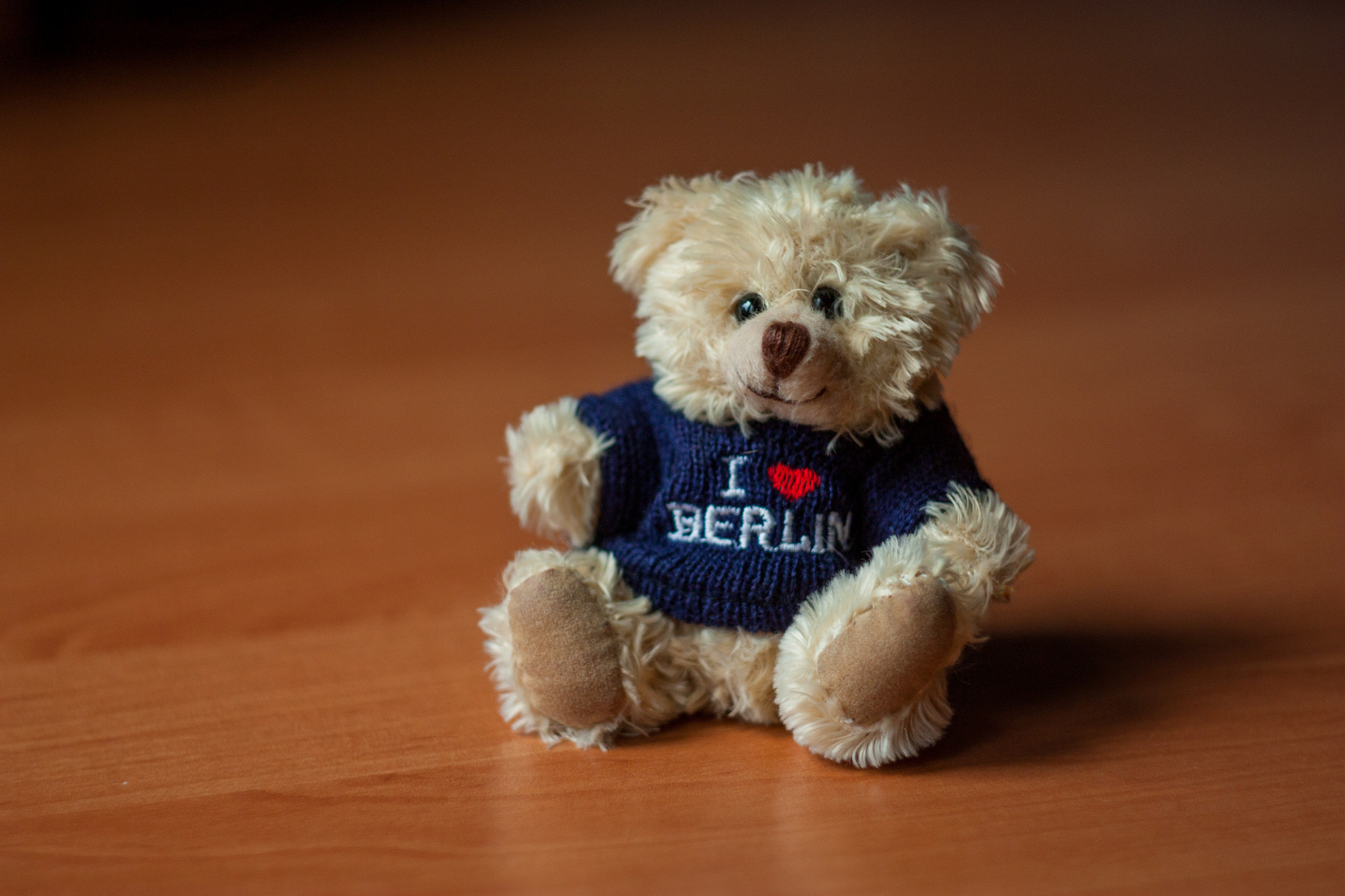 Canon EF 35-80mm f/4-5.6 sample photo. Teddy photography