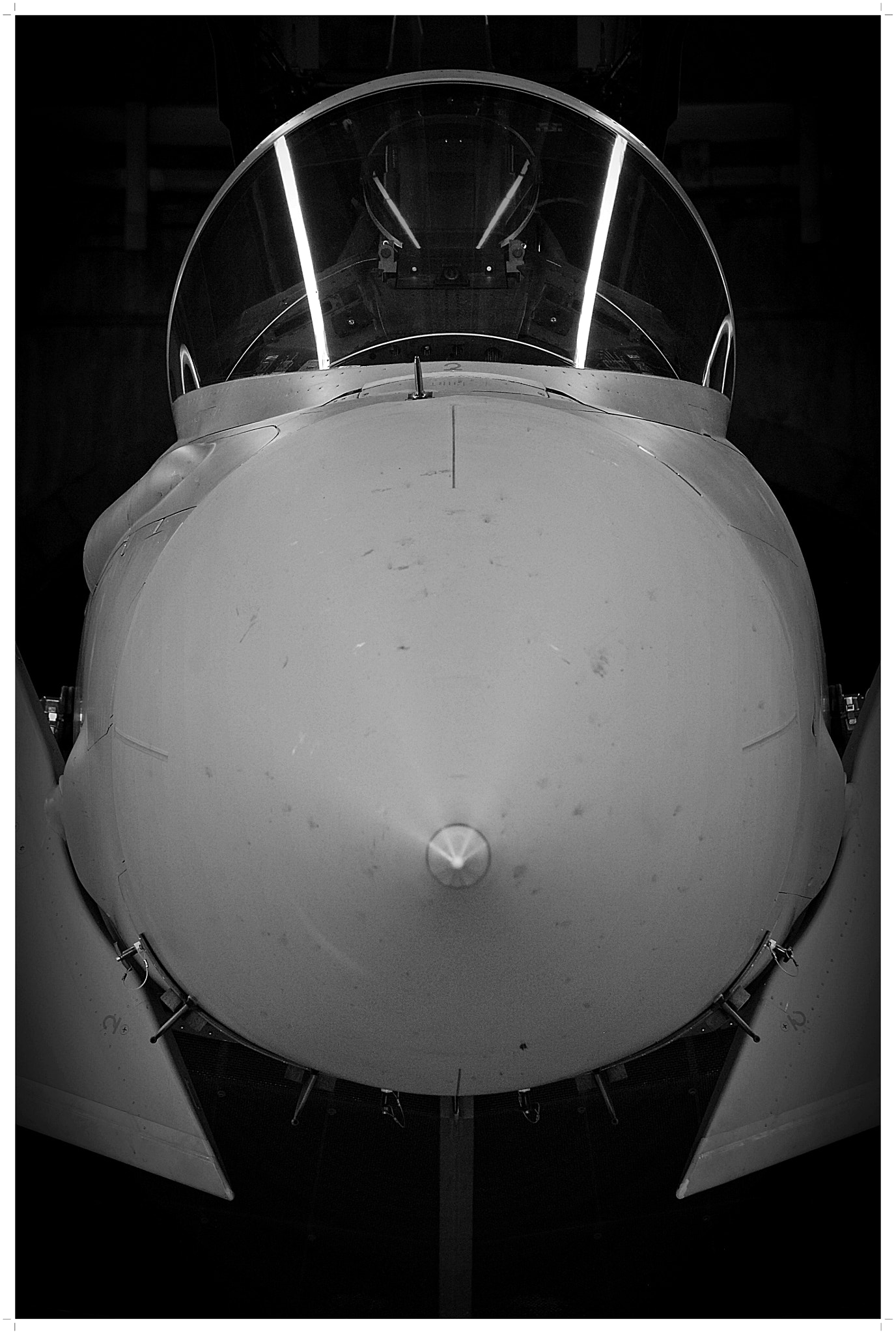 Nikon D2X sample photo. Grounded photography