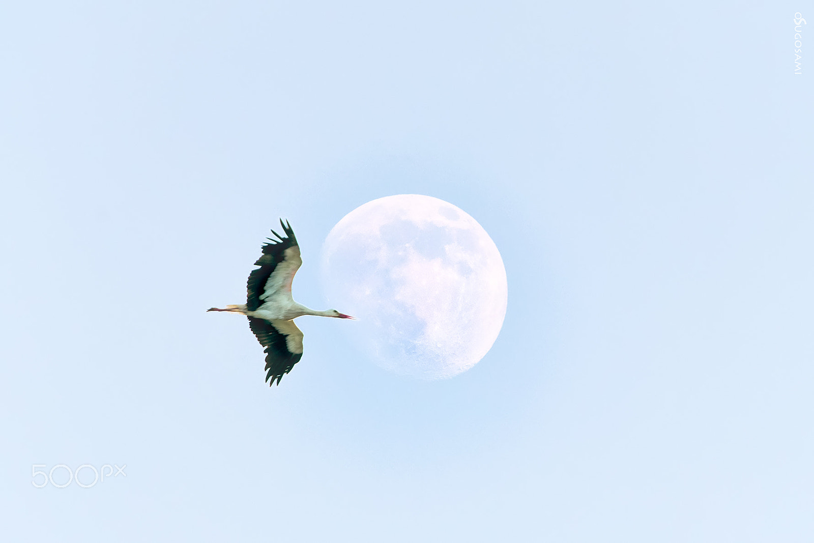 Sigma 50-500mm f/4-6.3 APO HSM EX sample photo. Sobre la luna photography