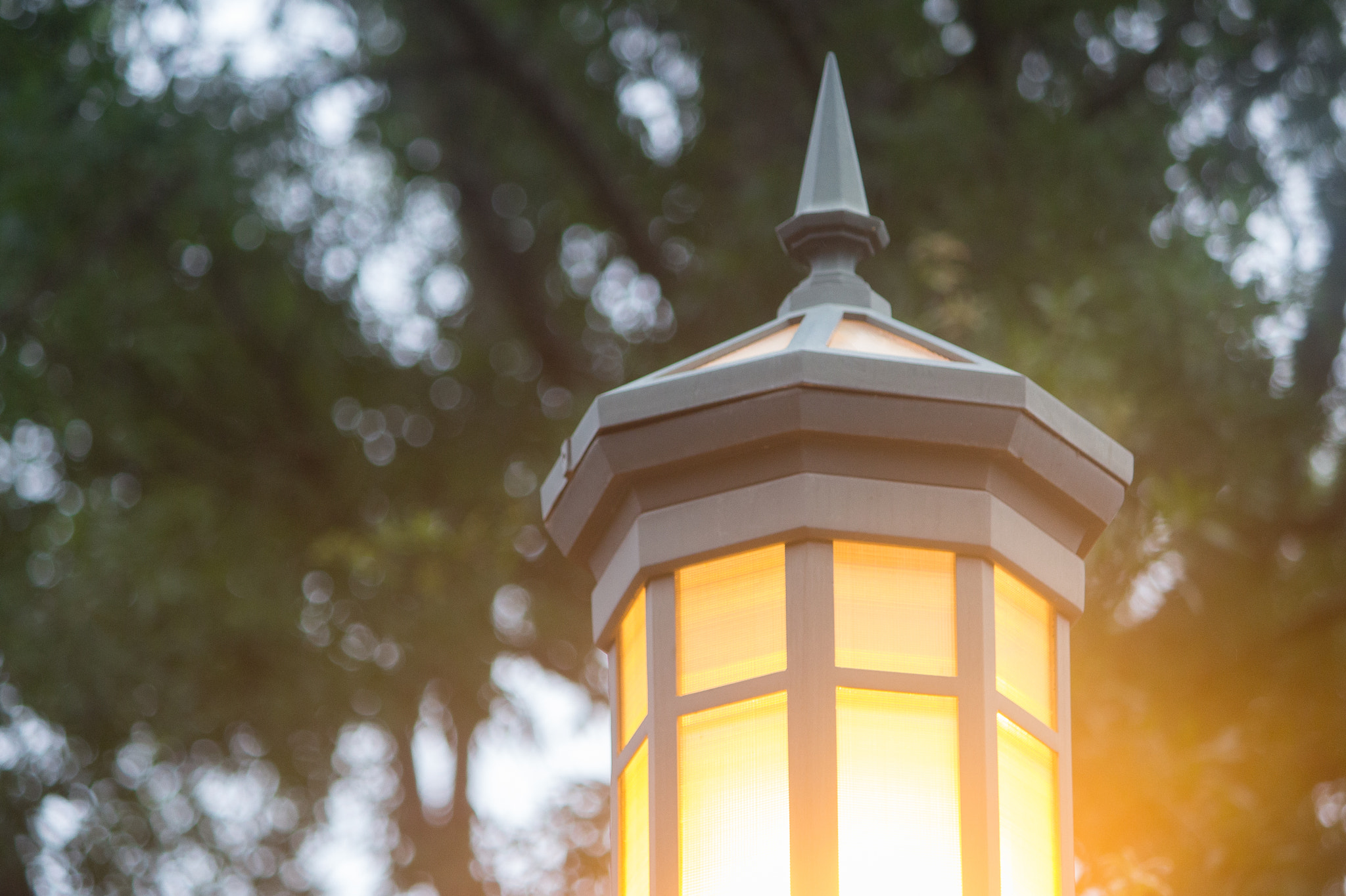 Canon EOS 100D (EOS Rebel SL1 / EOS Kiss X7) sample photo. Lamp | charlotte | north carolina photography